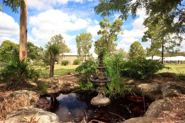 16 Pepper Lane, PINE MOUNTAIN QLD 4306, Pine Mountain - Thumbnail 6