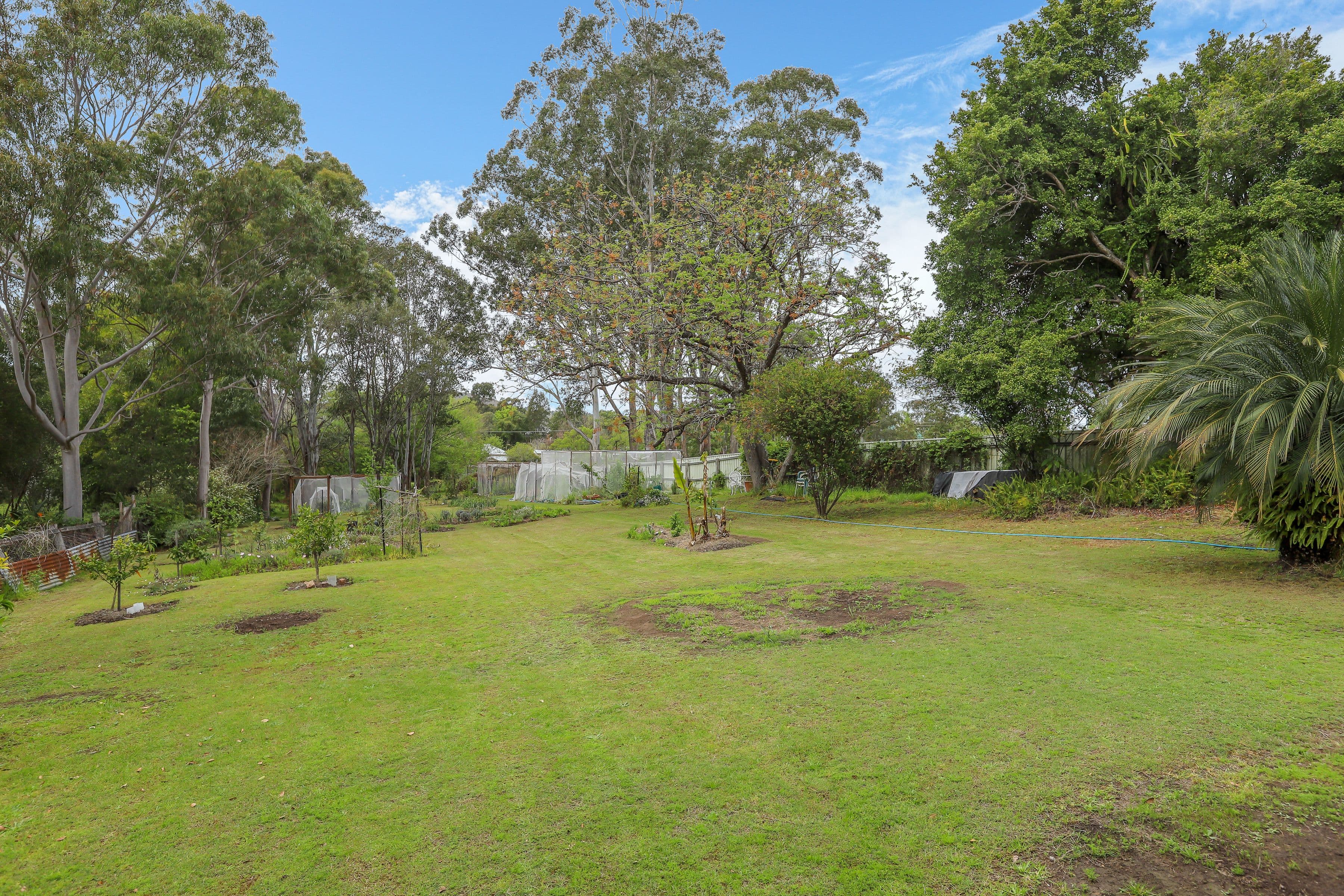 111 Eloiza Street, Dungog - Thumbnail 2
