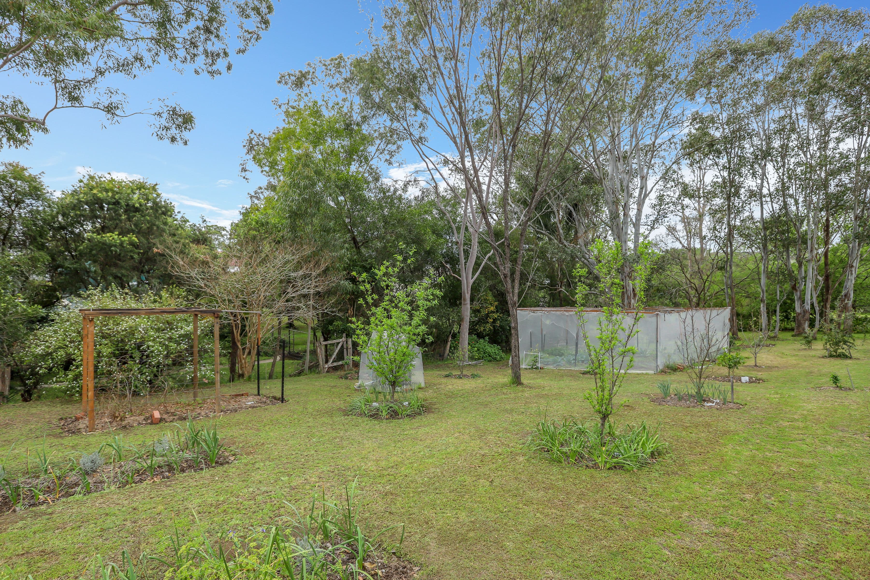 111 Eloiza Street, Dungog - Thumbnail 3