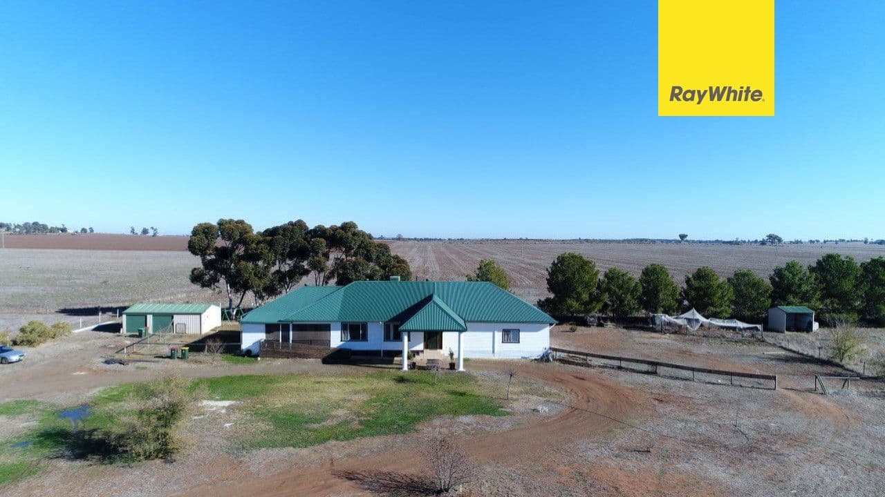 331 Calarie Road, Forbes - Image 1