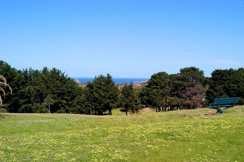 52 Wiley Street, WAVERLEY NSW 2024, Waverley - Thumbnail 7