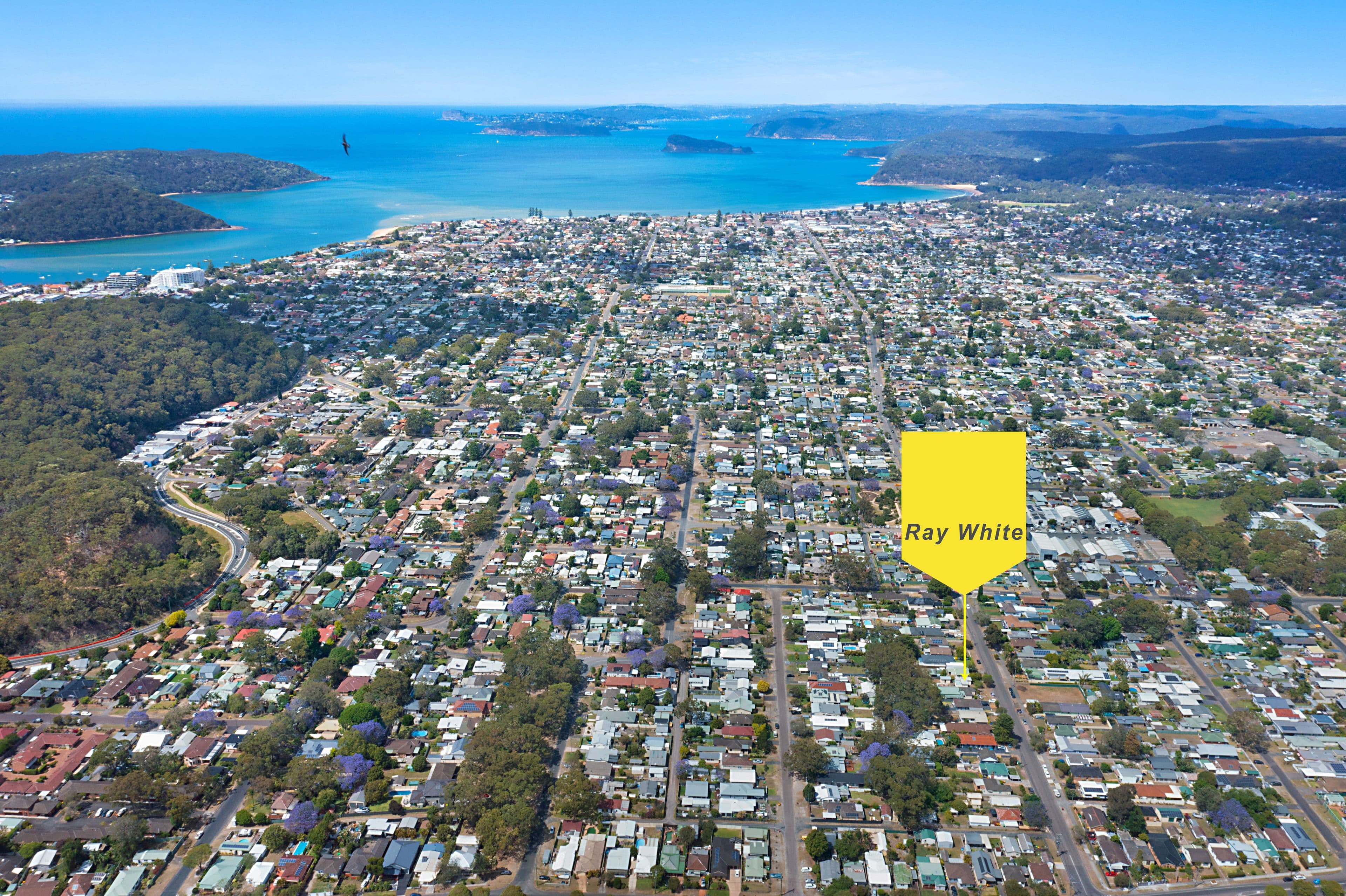 22 Trafalgar Avenue, Woy Woy NSW 2256, Woy Woy - Thumbnail 2