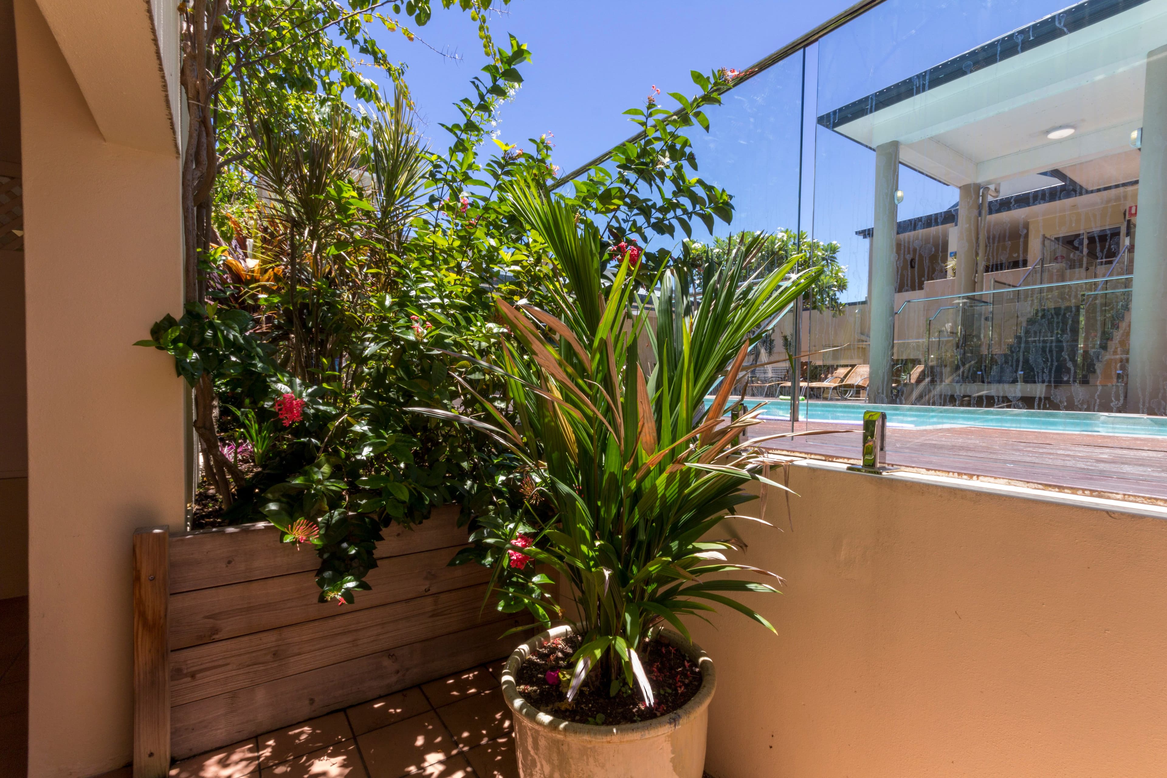 16 Macrossan Street, Port Douglas QLD 4877, Port Douglas - Thumbnail 7