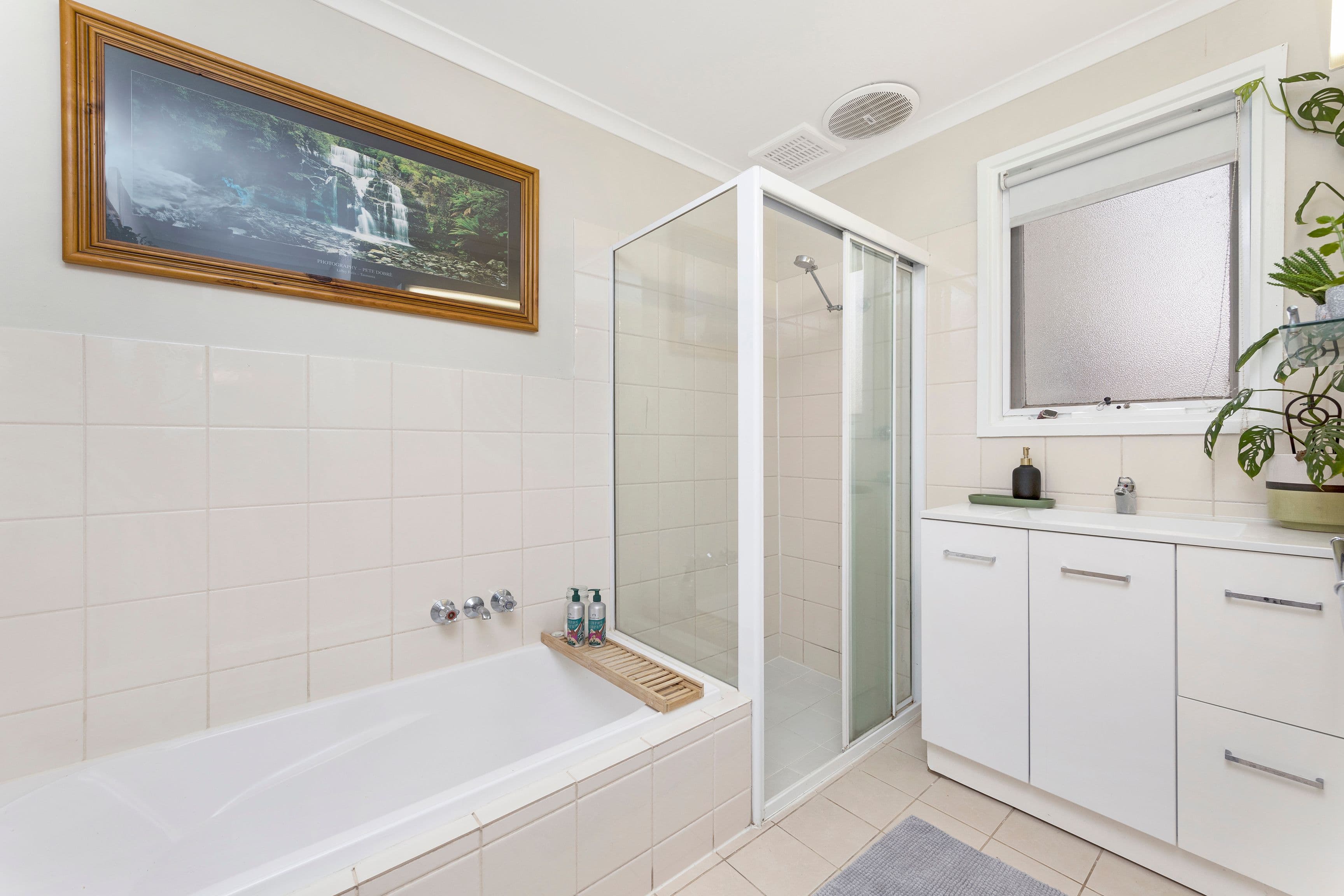15 Cavenagh Street, Elizabeth Downs SA 5113, Elizabeth Downs - Thumbnail 8