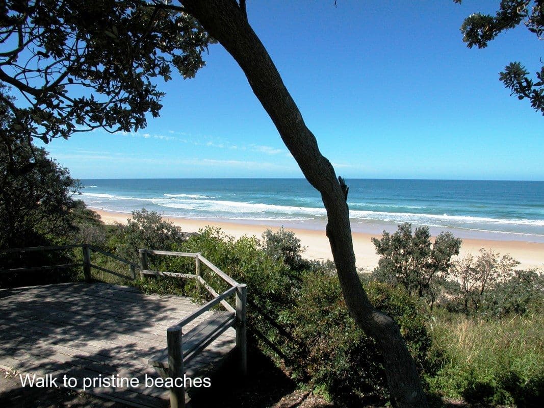 77 First Avenue, SAWTELL NSW 2452, Sawtell - Thumbnail 8