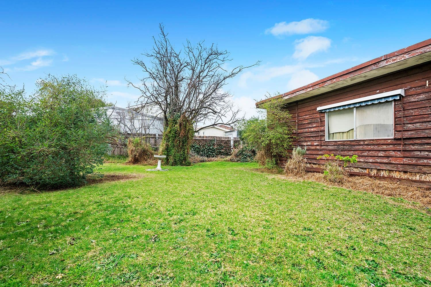 138 Wilson Street, Cheltenham VIC 3192, Cheltenham - Thumbnail 5