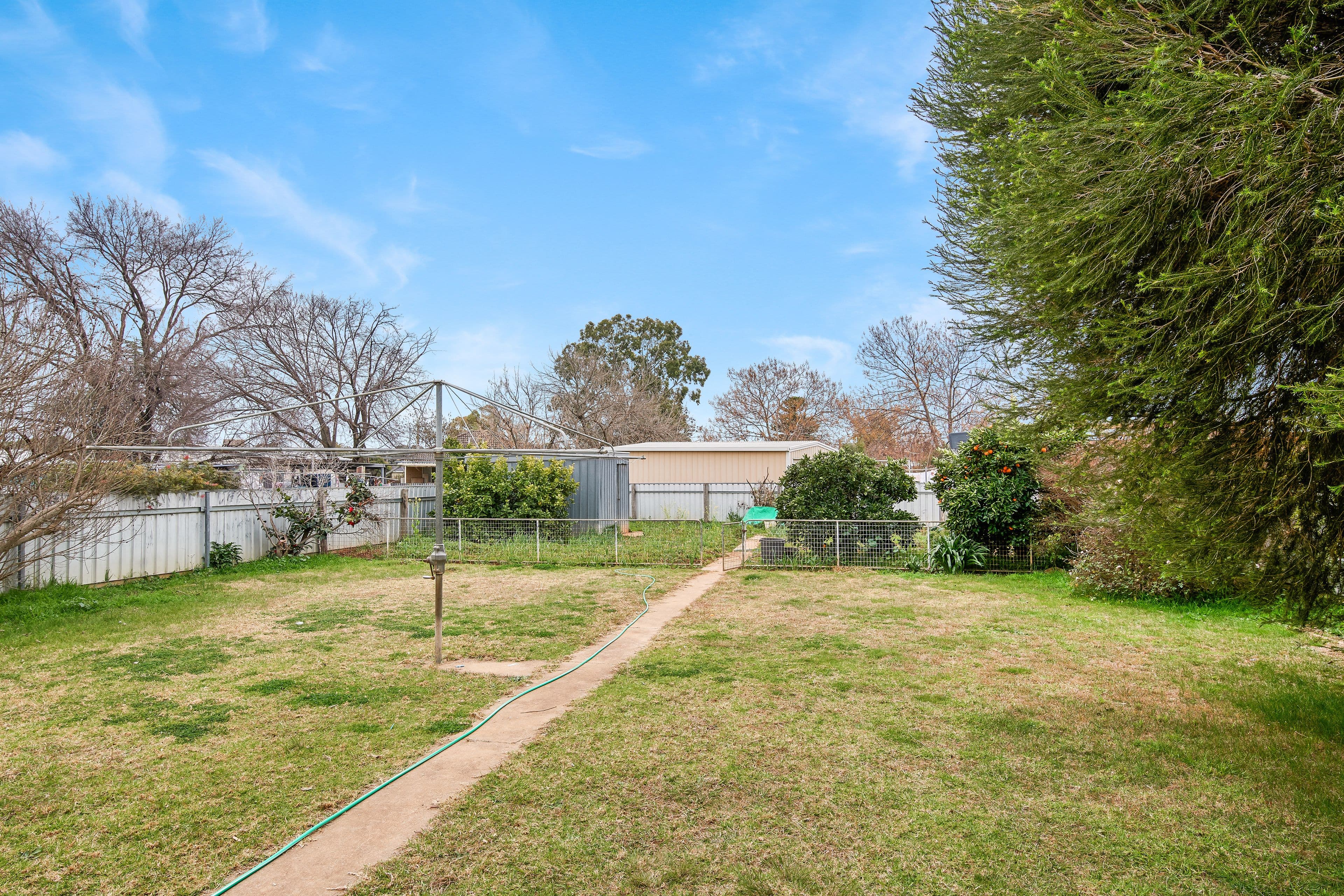 15 Anne Street, Tolland NSW 2650, Tolland - Thumbnail 8