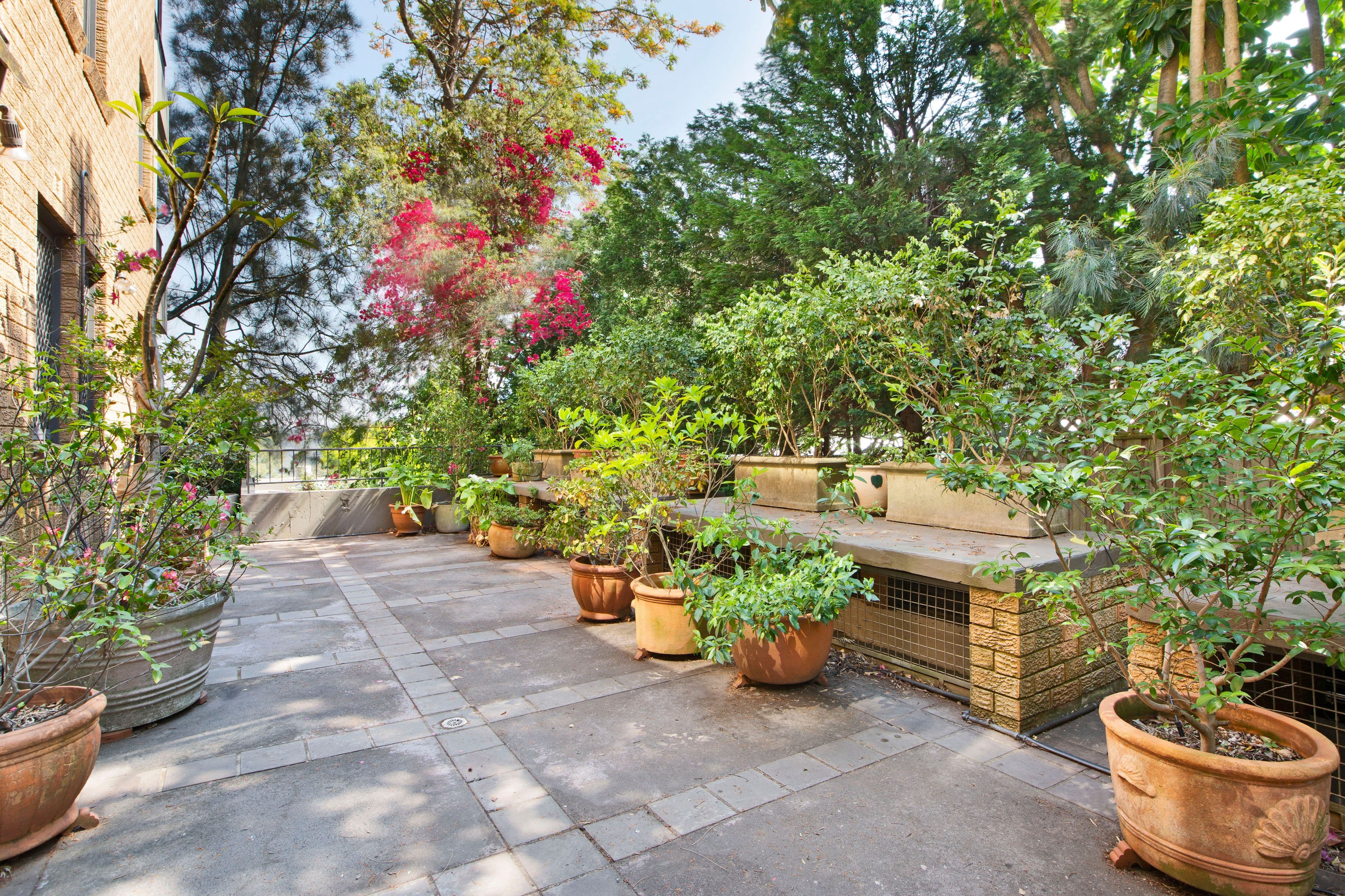 68-70 Gerard Street, Cremorne NSW 2090, Cremorne - Thumbnail 5