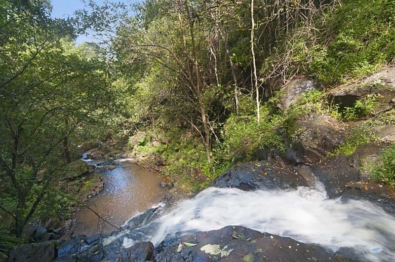 4 Randle Road, MAROM CREEK NSW 2480, Marom Creek - Thumbnail 5