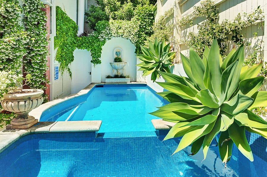 79A Kambala Road, Bellevue Hill NSW 2023, Bellevue Hill - Thumbnail 2