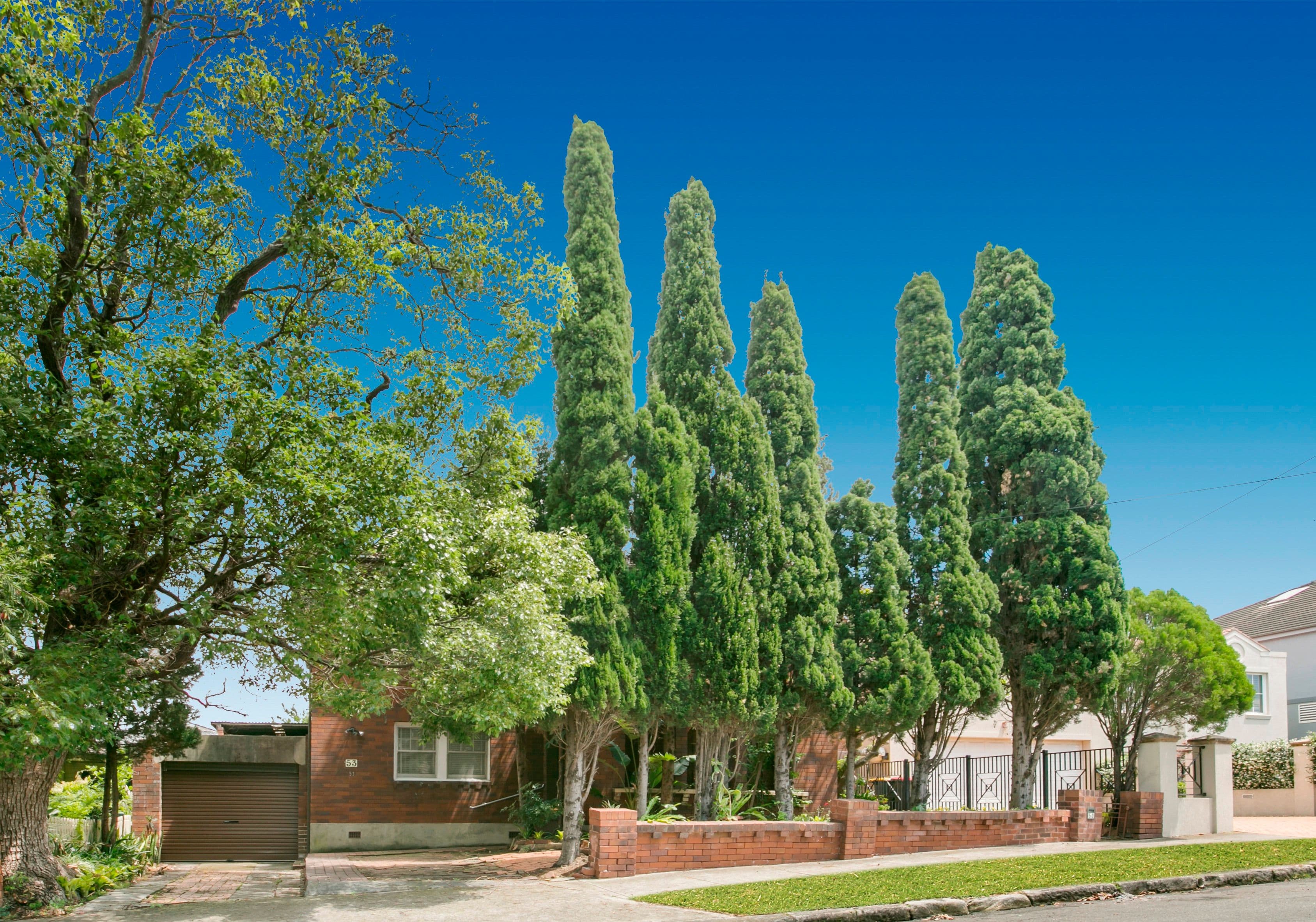 53 Wharf Road, Gladesville - Thumbnail 3