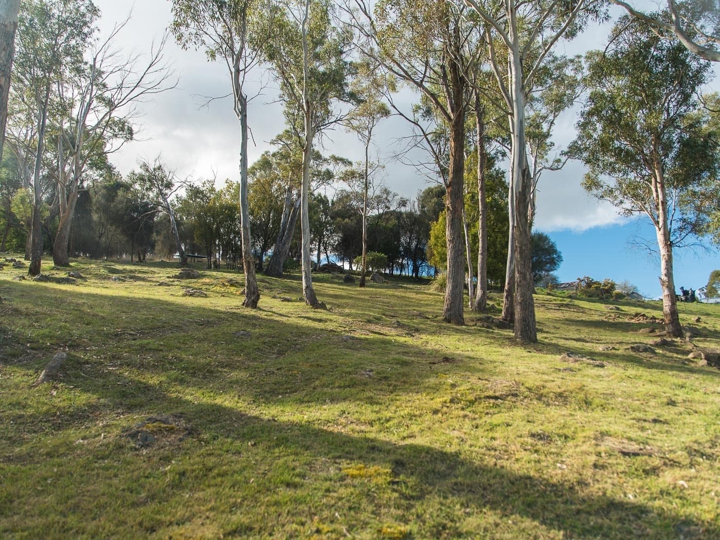 105 Corin Street, Summerhill, Summerhill - Thumbnail 3