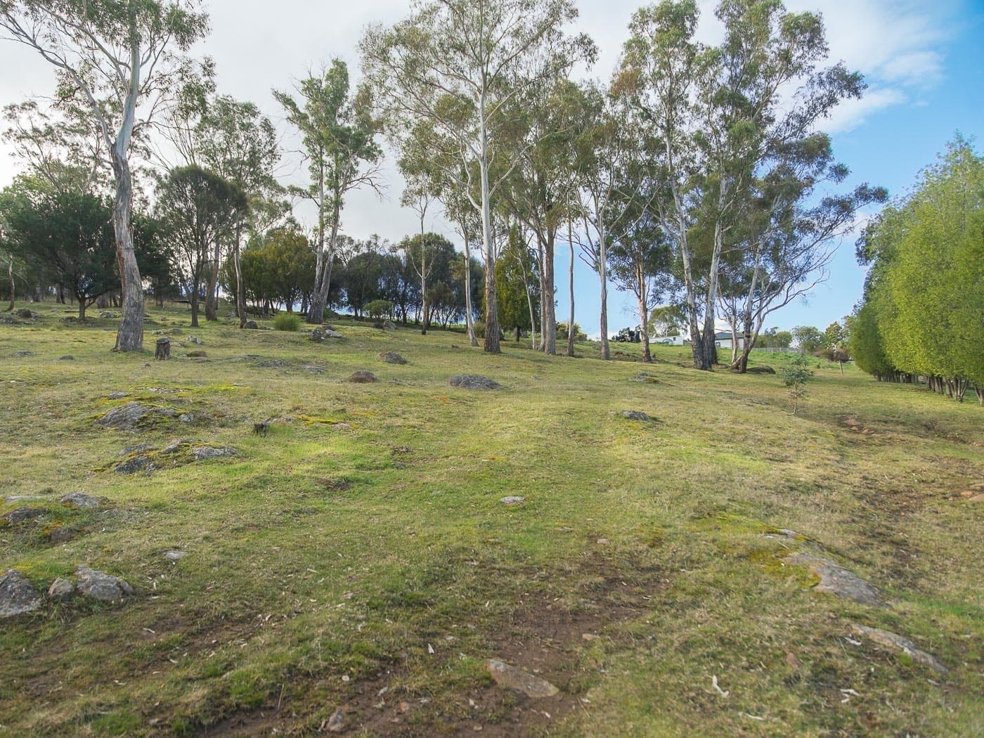 105 Corin Street, Summerhill, Summerhill - Thumbnail 5