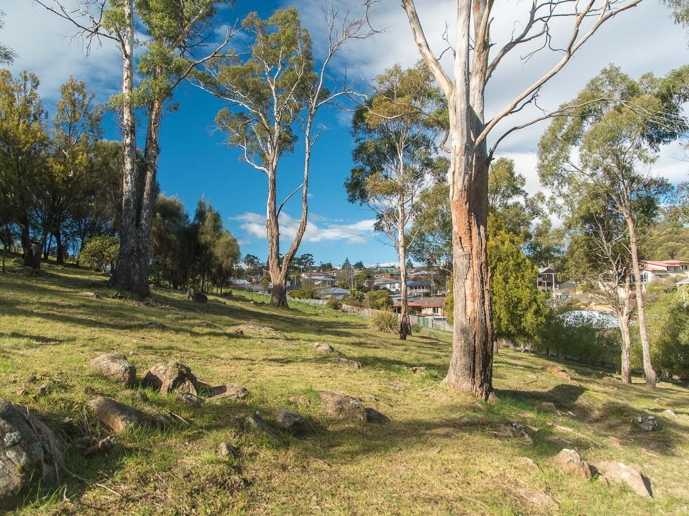 105 Corin Street, Summerhill, Summerhill - Thumbnail 6