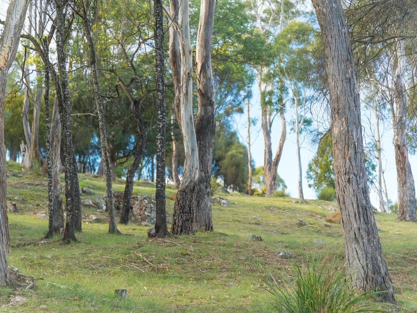 105 Corin Street, Summerhill, Summerhill - Thumbnail 8