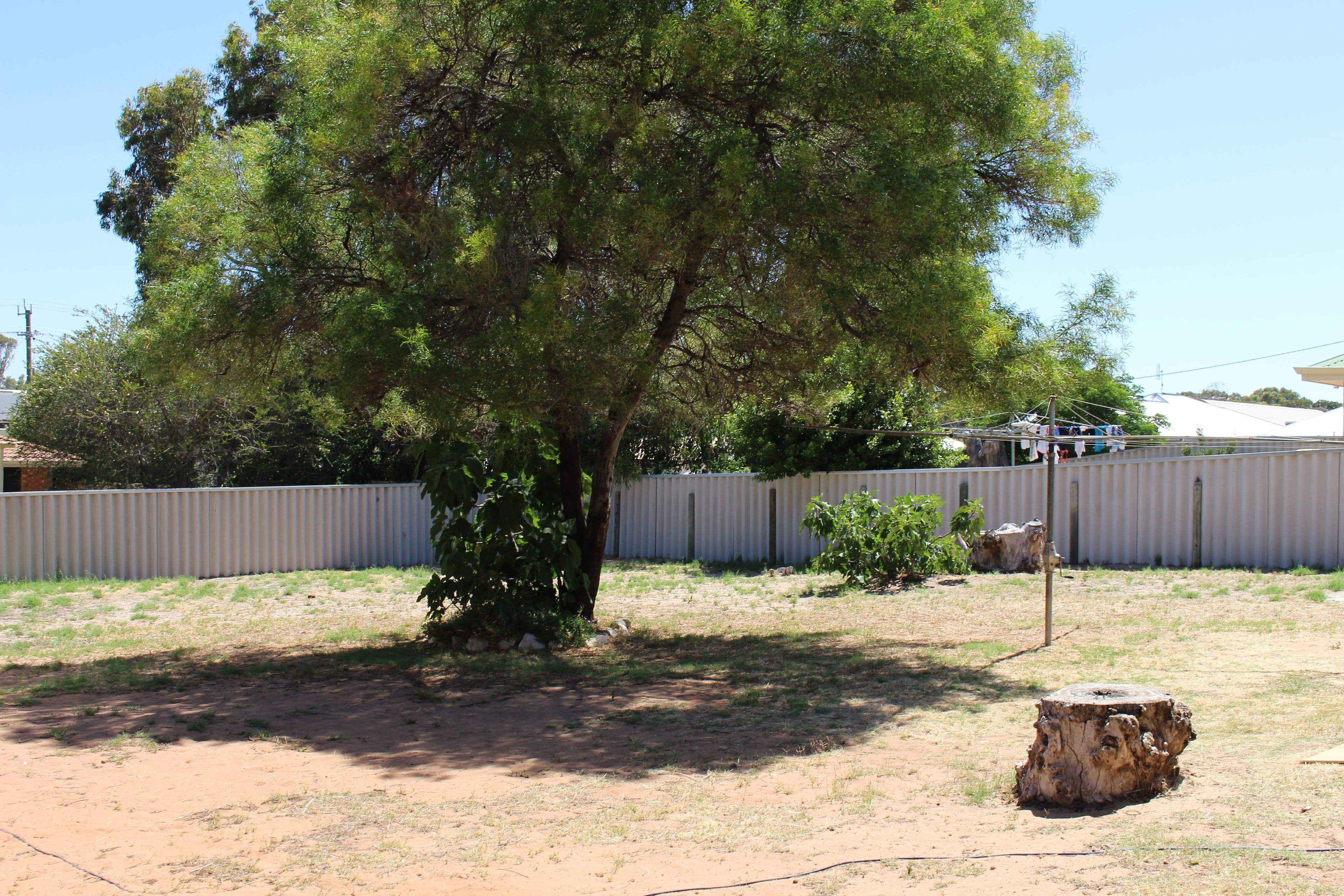 8 Armstrong Street, Dongara WA 6525, Dongara - Thumbnail 4
