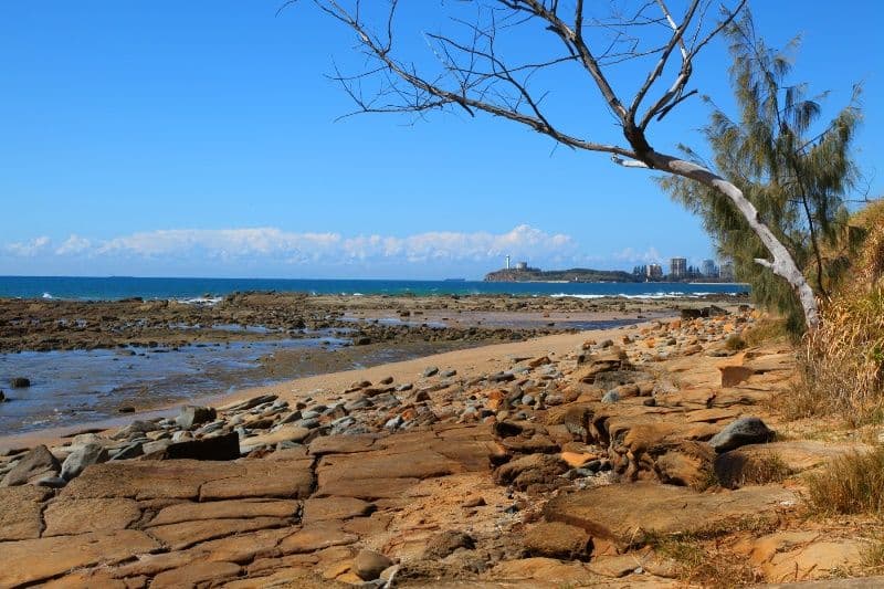 15 Pacific Terrace, ALEXANDRA HEADLAND QLD 4572, Alexandra Headland - Thumbnail 3
