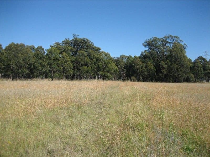 Lot 1 Mid Hartley Road, HARTLEY NSW 2790, Hartley - Thumbnail 3