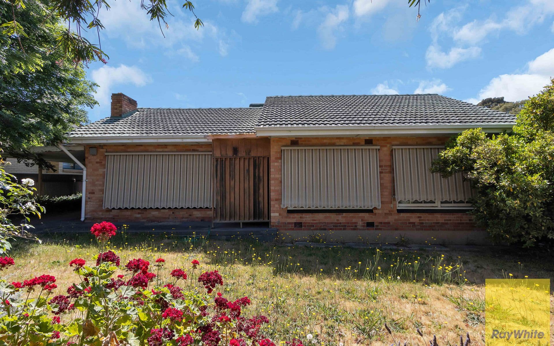 5 Saxon Street, Modbury SA 5092, Modbury - Thumbnail 2