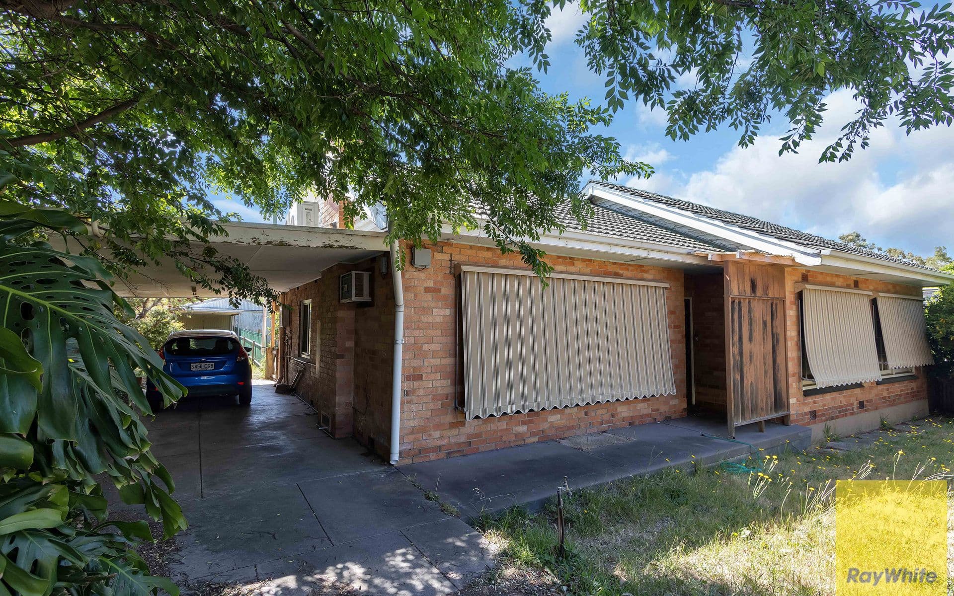 5 Saxon Street, Modbury SA 5092, Modbury - Thumbnail 3