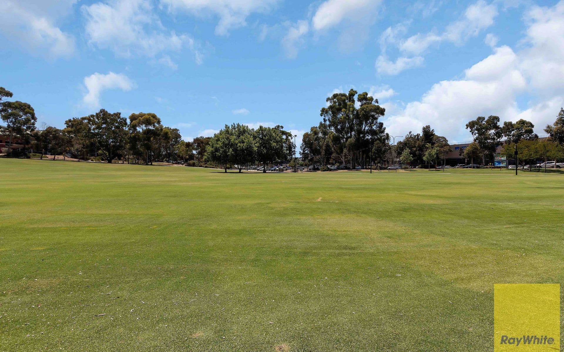5 Saxon Street, Modbury SA 5092, Modbury - Thumbnail 4