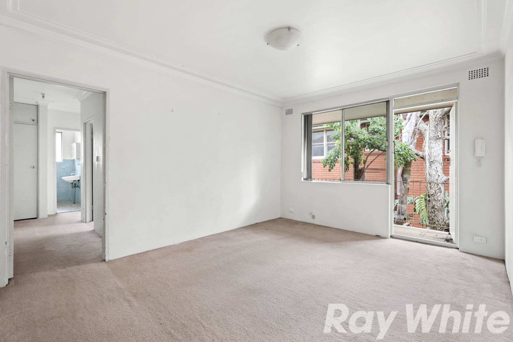22 Barnsbury Grove, Dulwich Hill NSW 2203, Dulwich Hill - Thumbnail 2