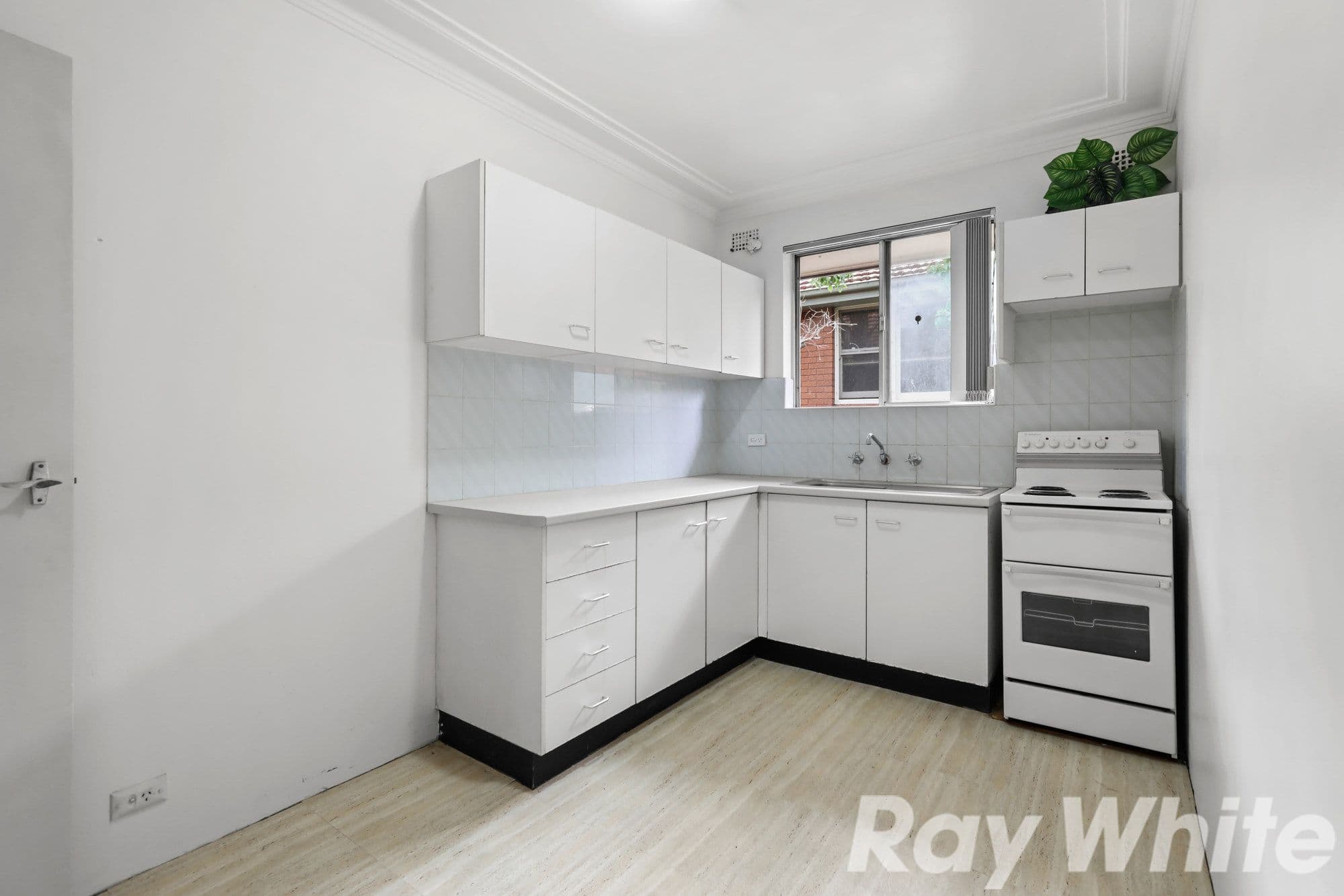 22 Barnsbury Grove, Dulwich Hill NSW 2203, Dulwich Hill - Thumbnail 4