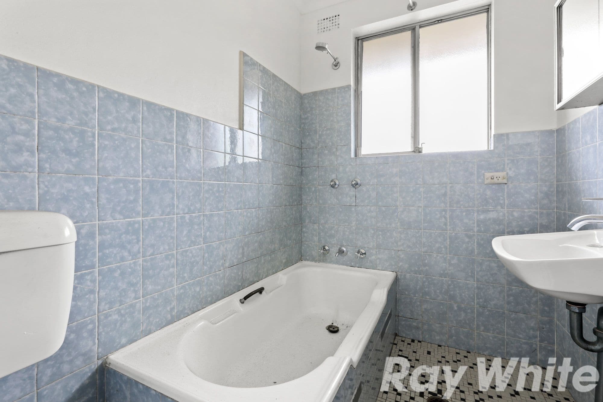 22 Barnsbury Grove, Dulwich Hill NSW 2203, Dulwich Hill - Thumbnail 5