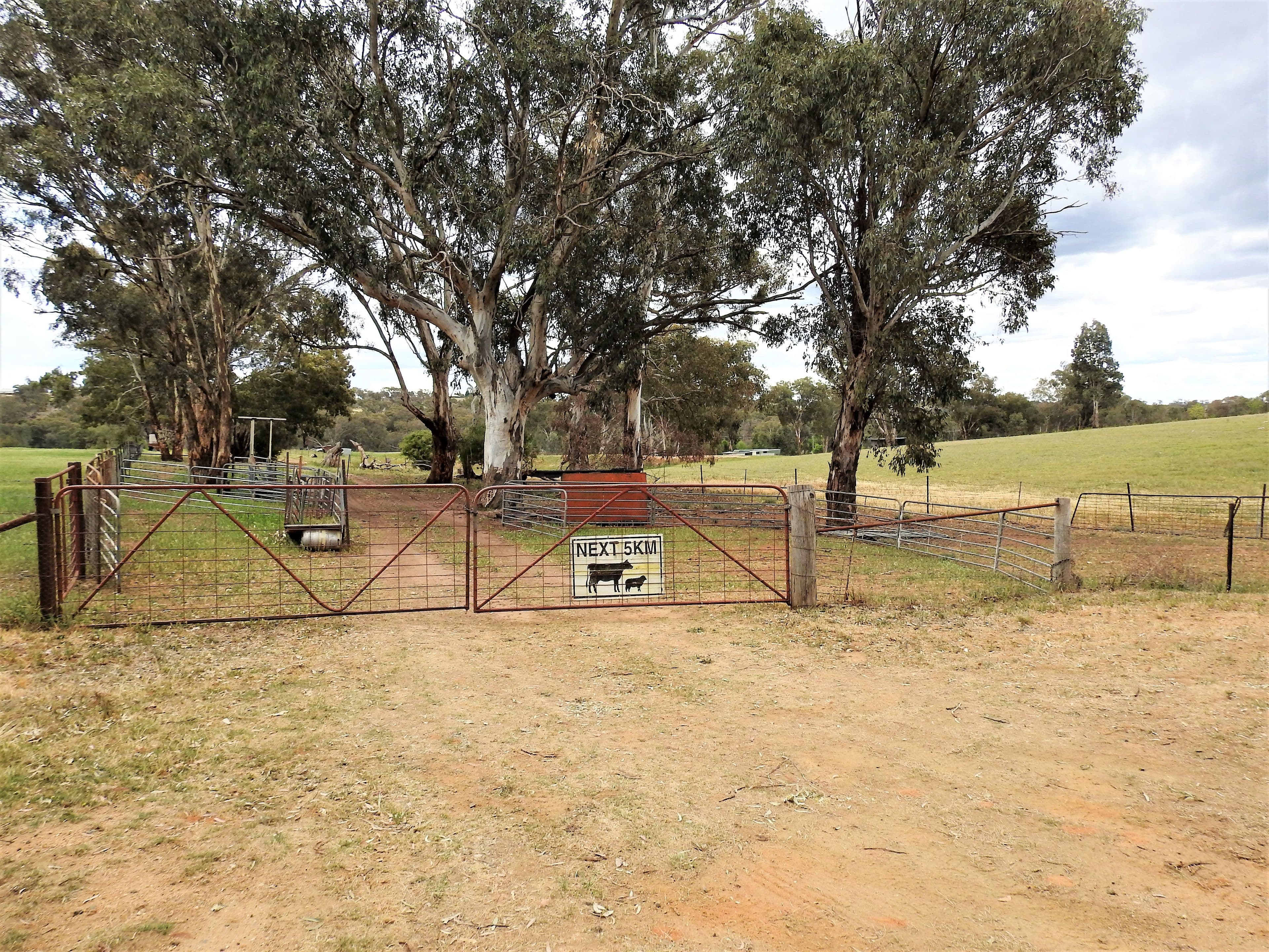 41 Dairymans Lane, Young NSW 2594, Young - Image 1