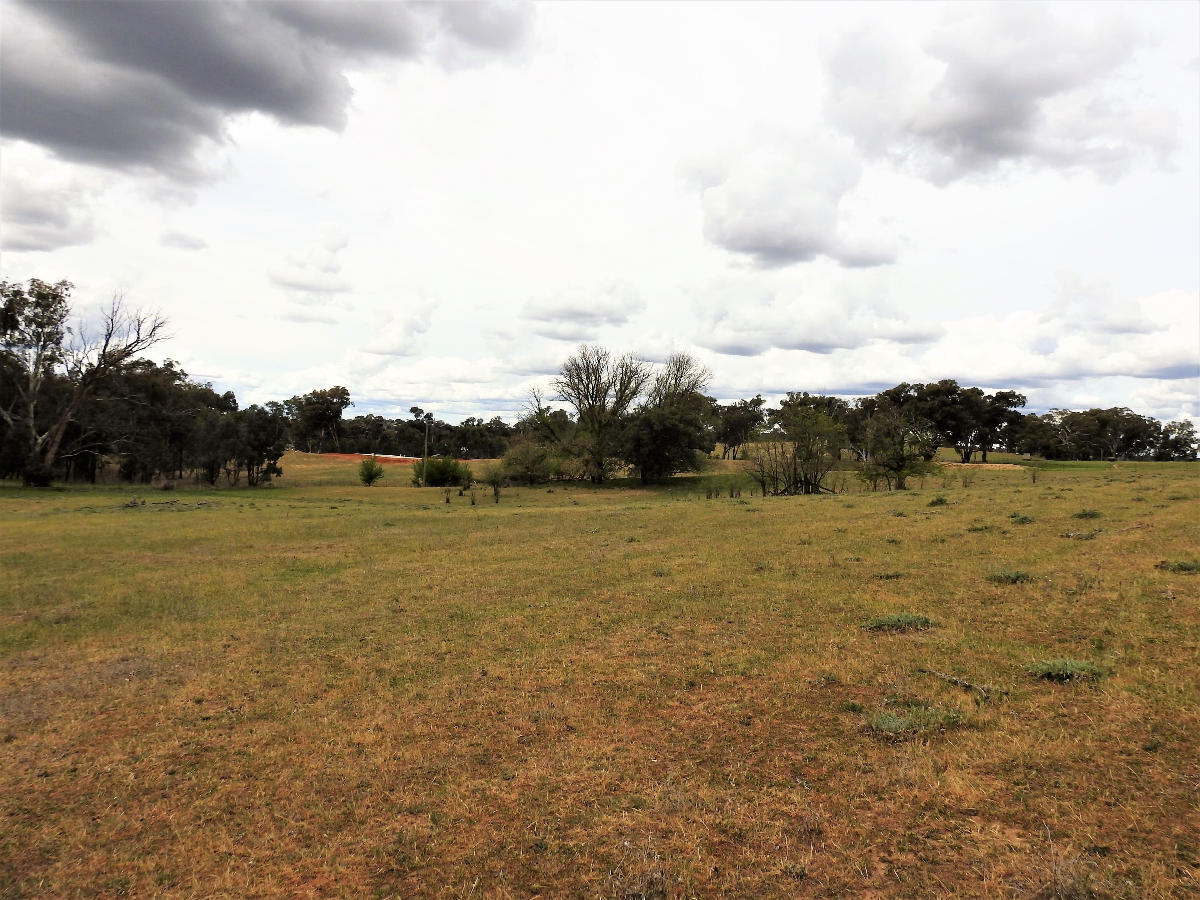 41 Dairymans Lane, Young NSW 2594, Young - Thumbnail 4