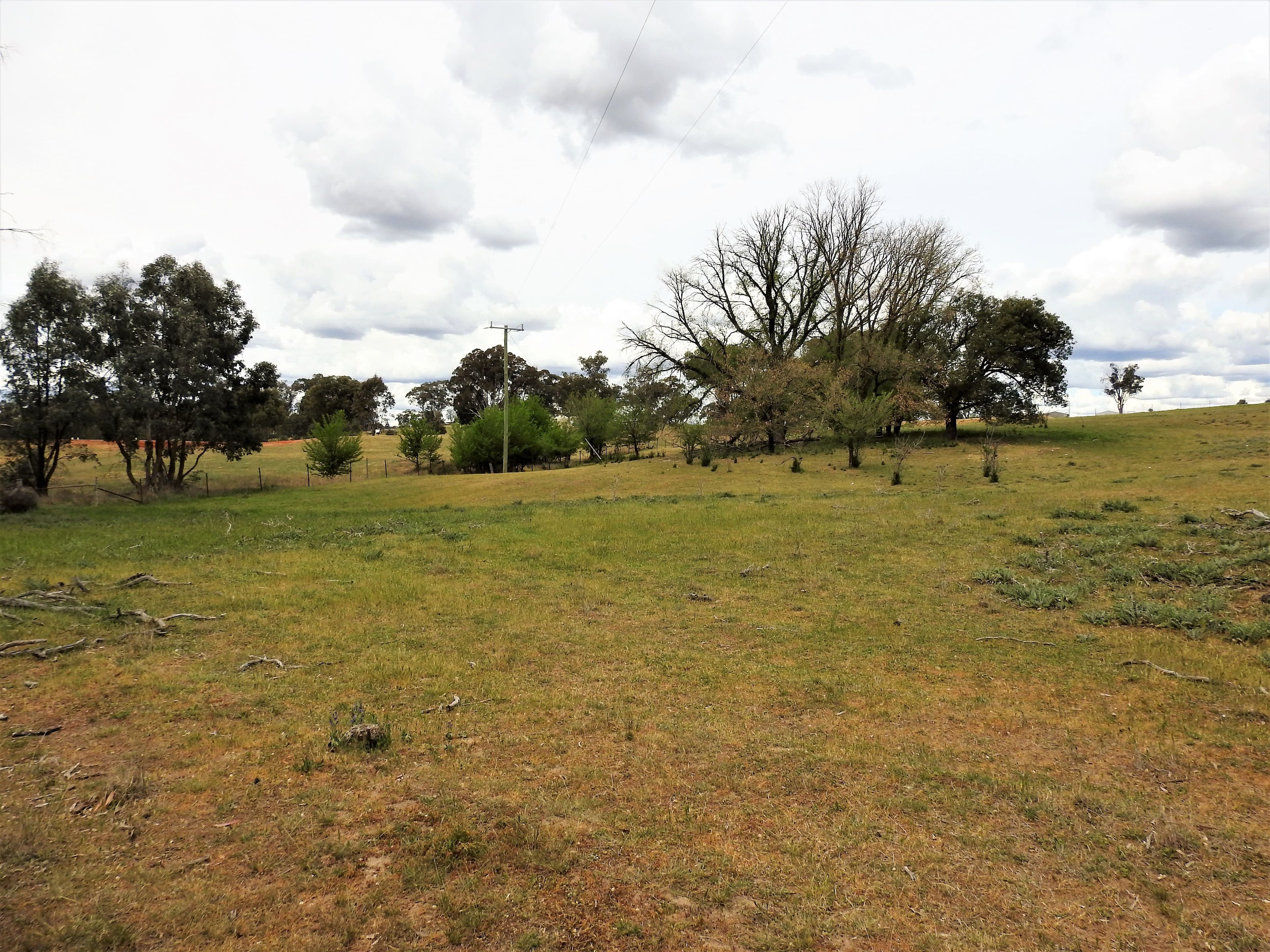 41 Dairymans Lane, Young NSW 2594, Young - Thumbnail 6