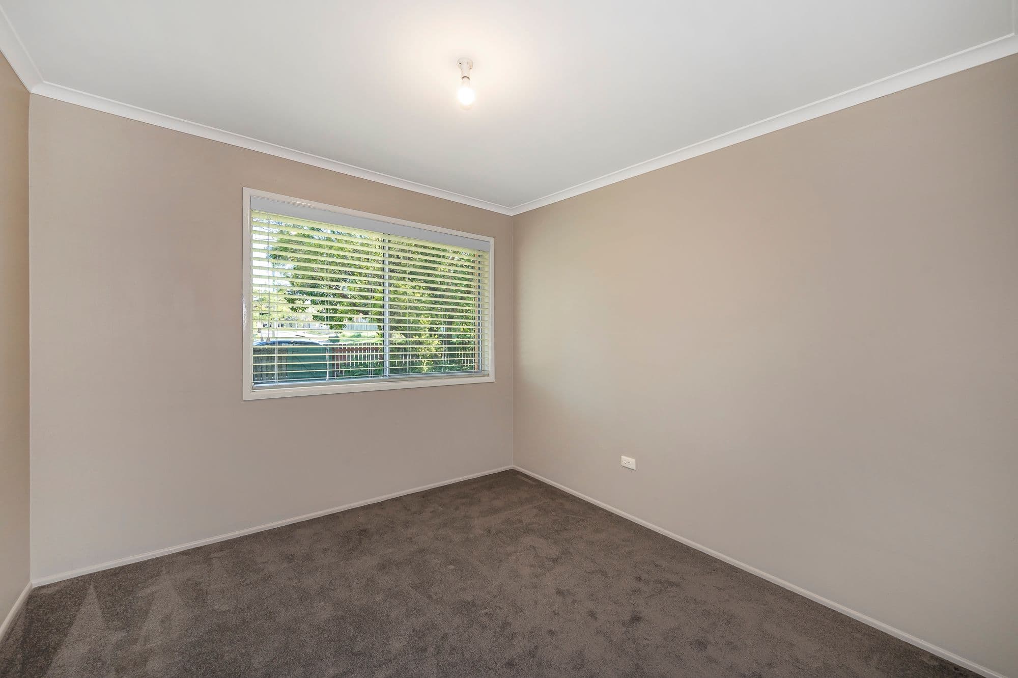 5 Anchusa Street, Kingston QLD 4114, Kingston - Thumbnail 2