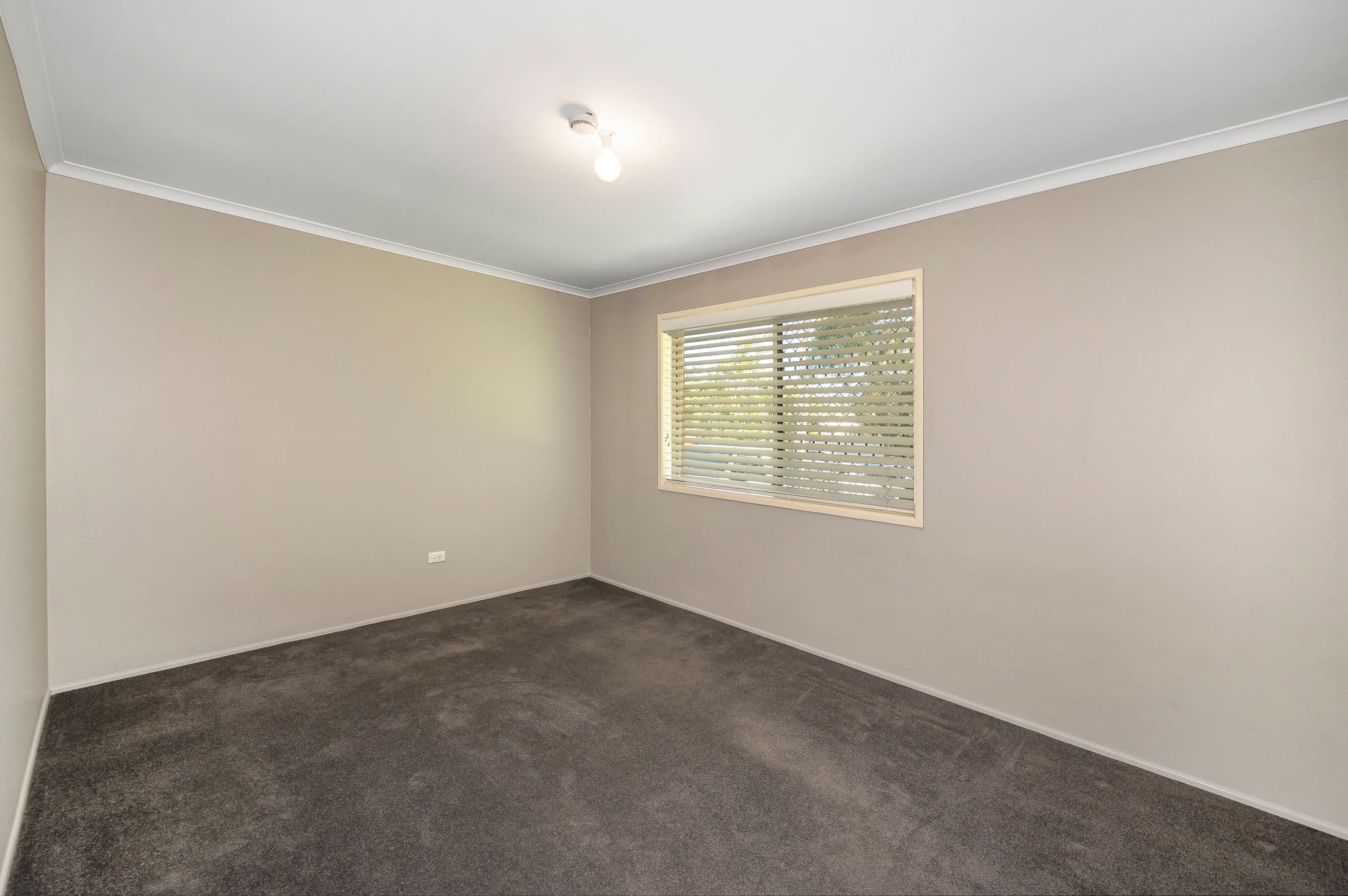 5 Anchusa Street, Kingston QLD 4114, Kingston - Thumbnail 3
