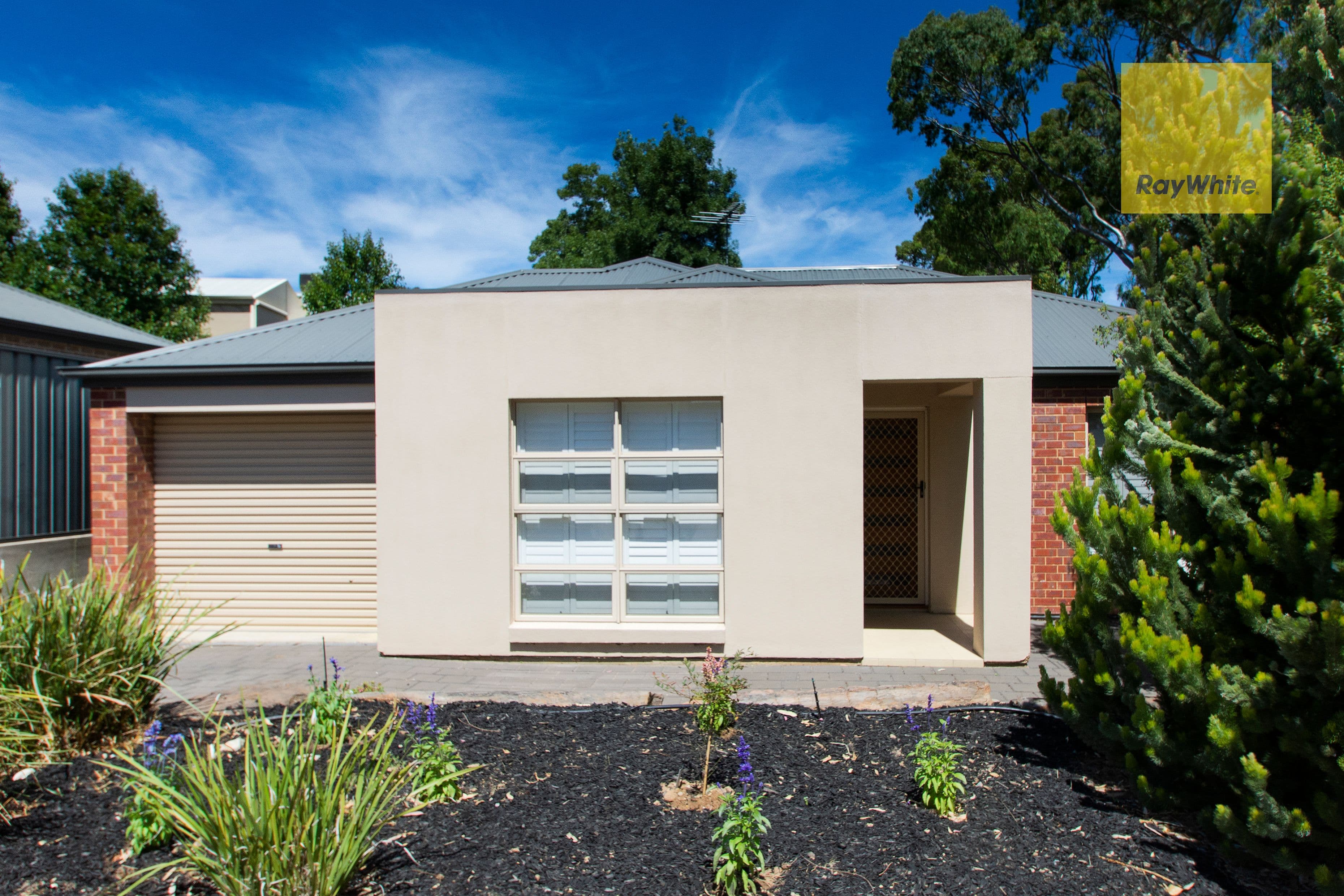 198 Black Road, Aberfoyle Park SA 5159, Aberfoyle Park - Image 1