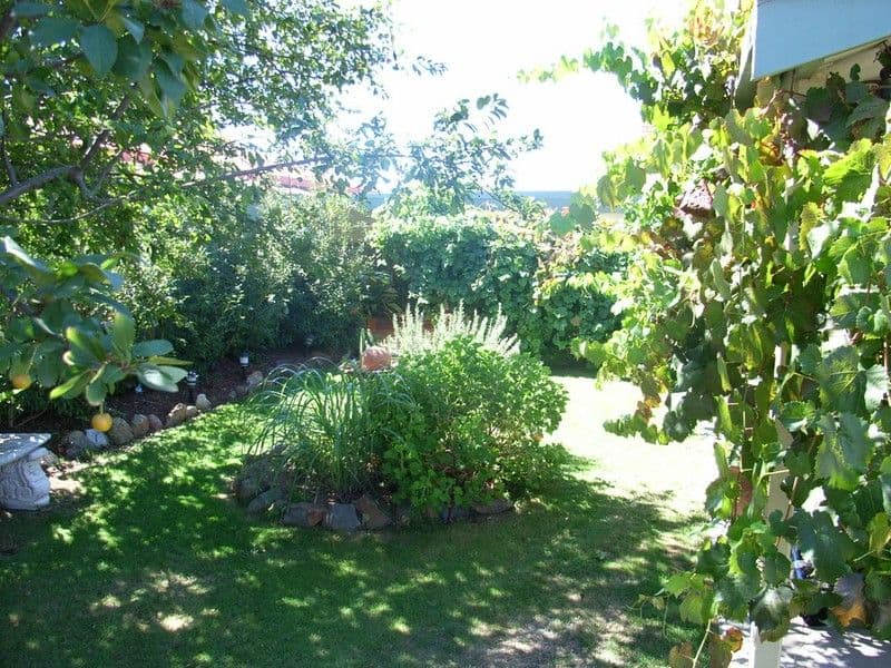 8 Walgett Court, Echuca VIC 3564, Echuca - Thumbnail 2