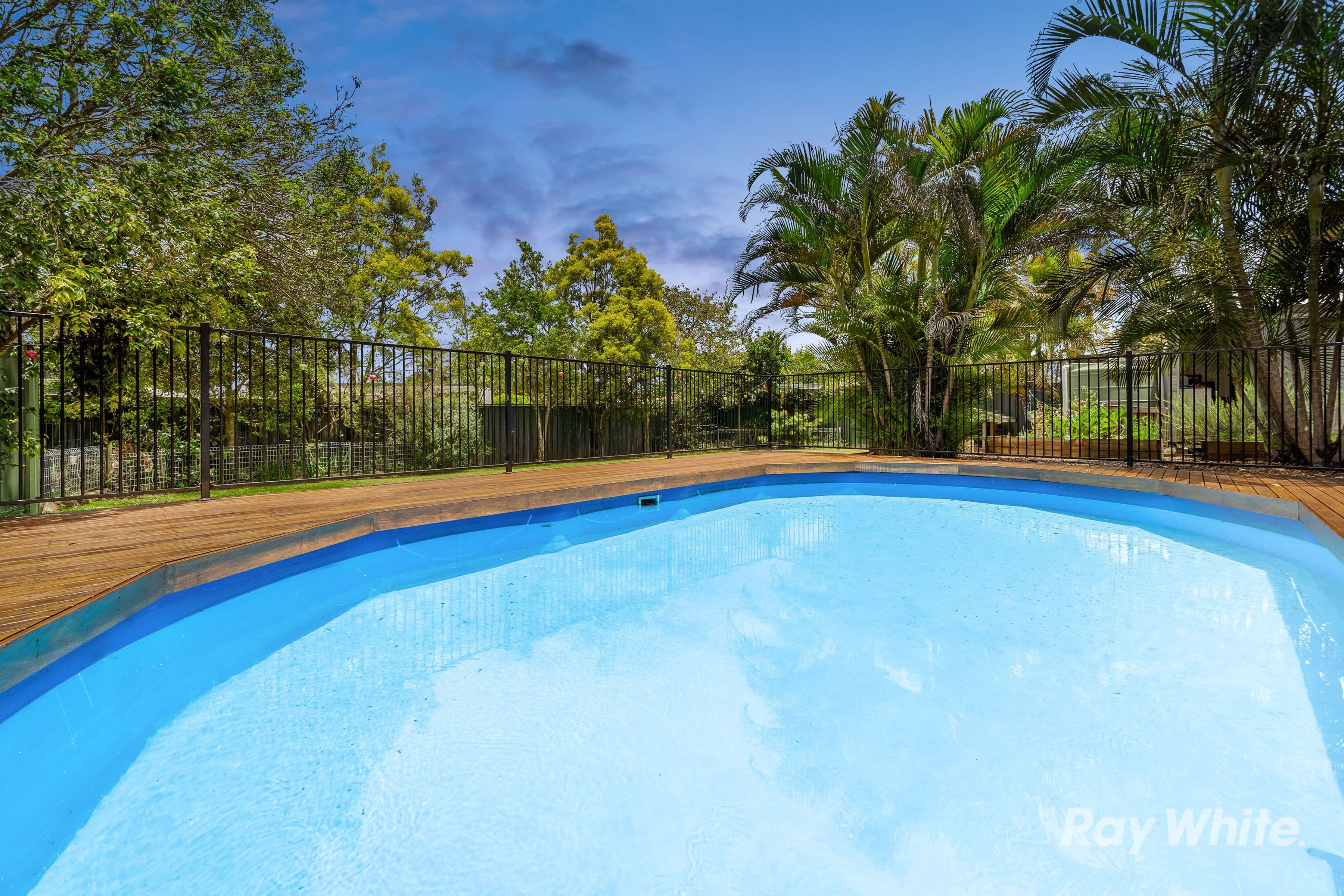 18 Mayflower Street, Daisy Hill QLD 4127, Daisy Hill - Thumbnail 4
