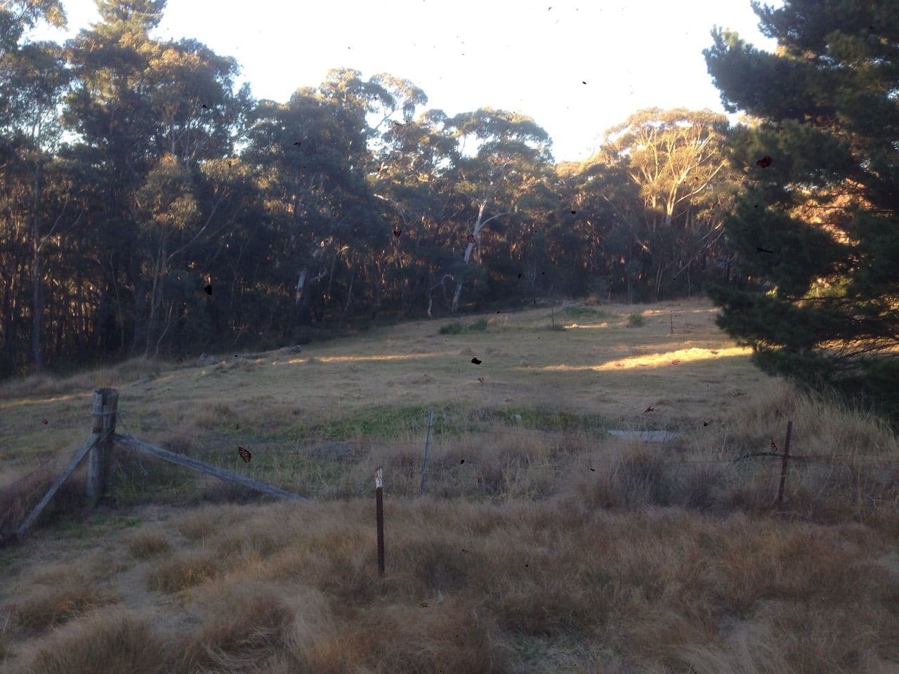 92-94 Bells Line Of Road, Bell NSW 2786, Bell - Image 1