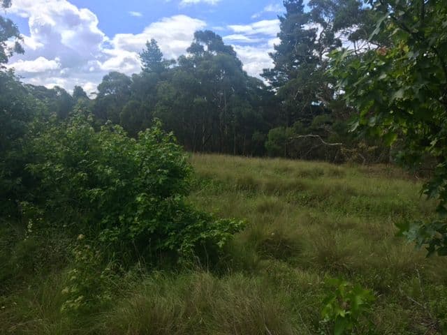 92-94 Bells Line Of Road, Bell NSW 2786, Bell - Thumbnail 3