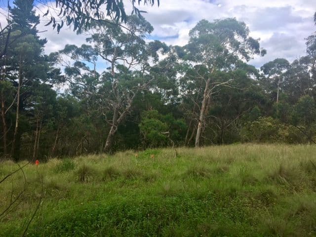 92-94 Bells Line Of Road, Bell NSW 2786, Bell - Thumbnail 8