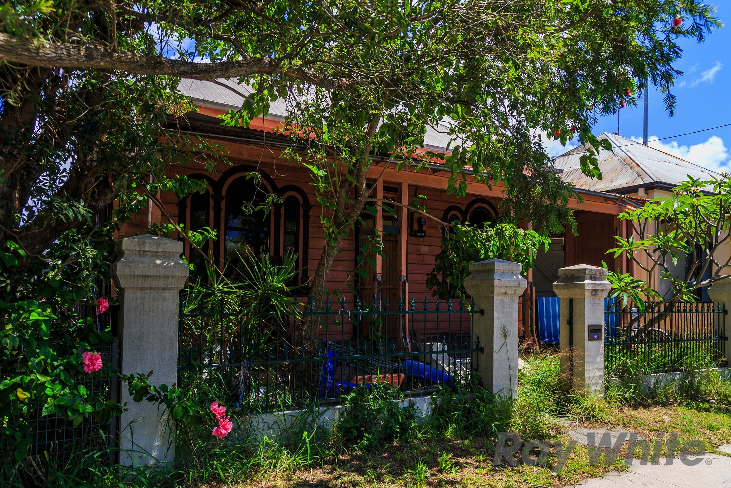 30 Swan Street, Hamilton - Thumbnail 4