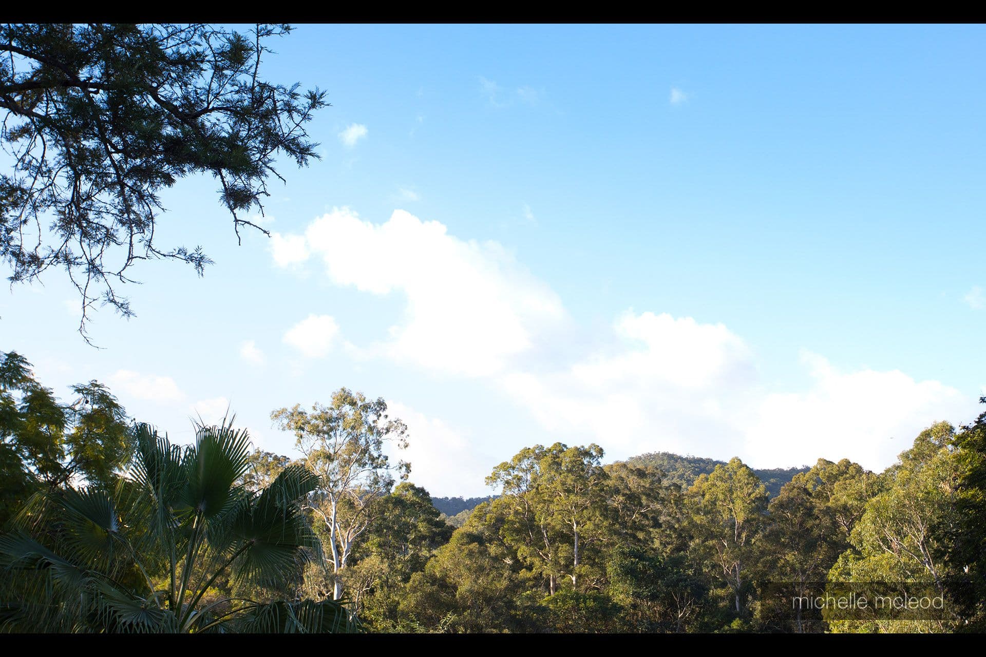 31 Diamantina Street, Chapel Hill QLD 4069, Chapel Hill - Thumbnail 5
