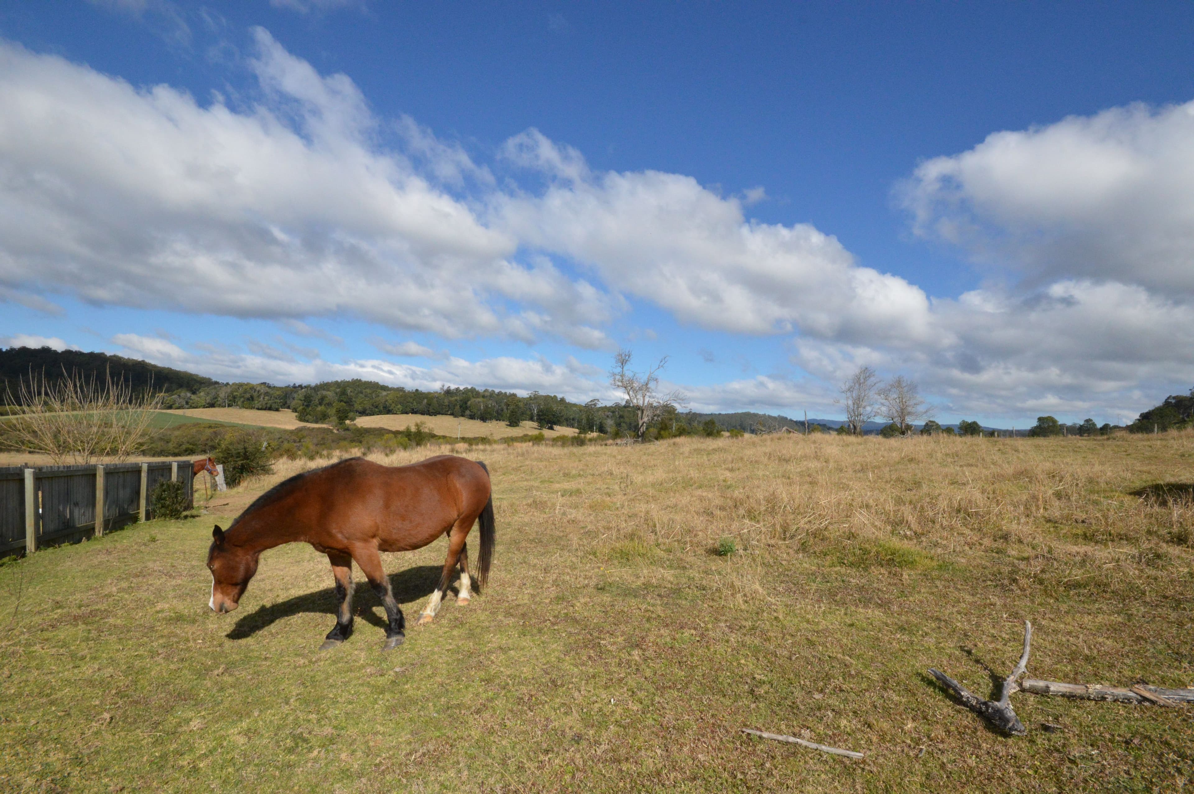 Lot 9 Cavanaghs Road, Lowanna NSW 2450, Lowanna - Thumbnail 2