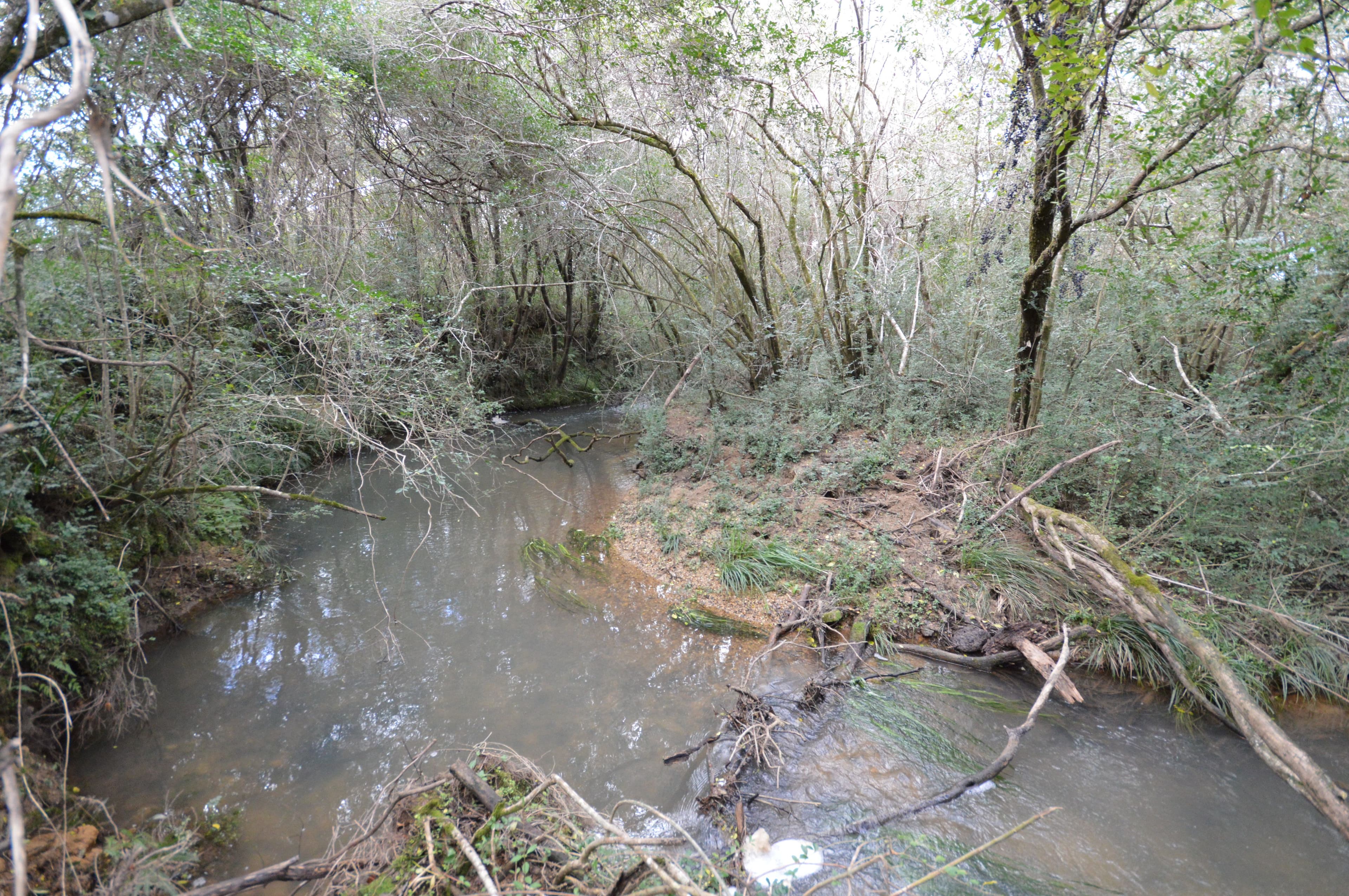 Lot 9 Cavanaghs Road, Lowanna NSW 2450, Lowanna - Thumbnail 6