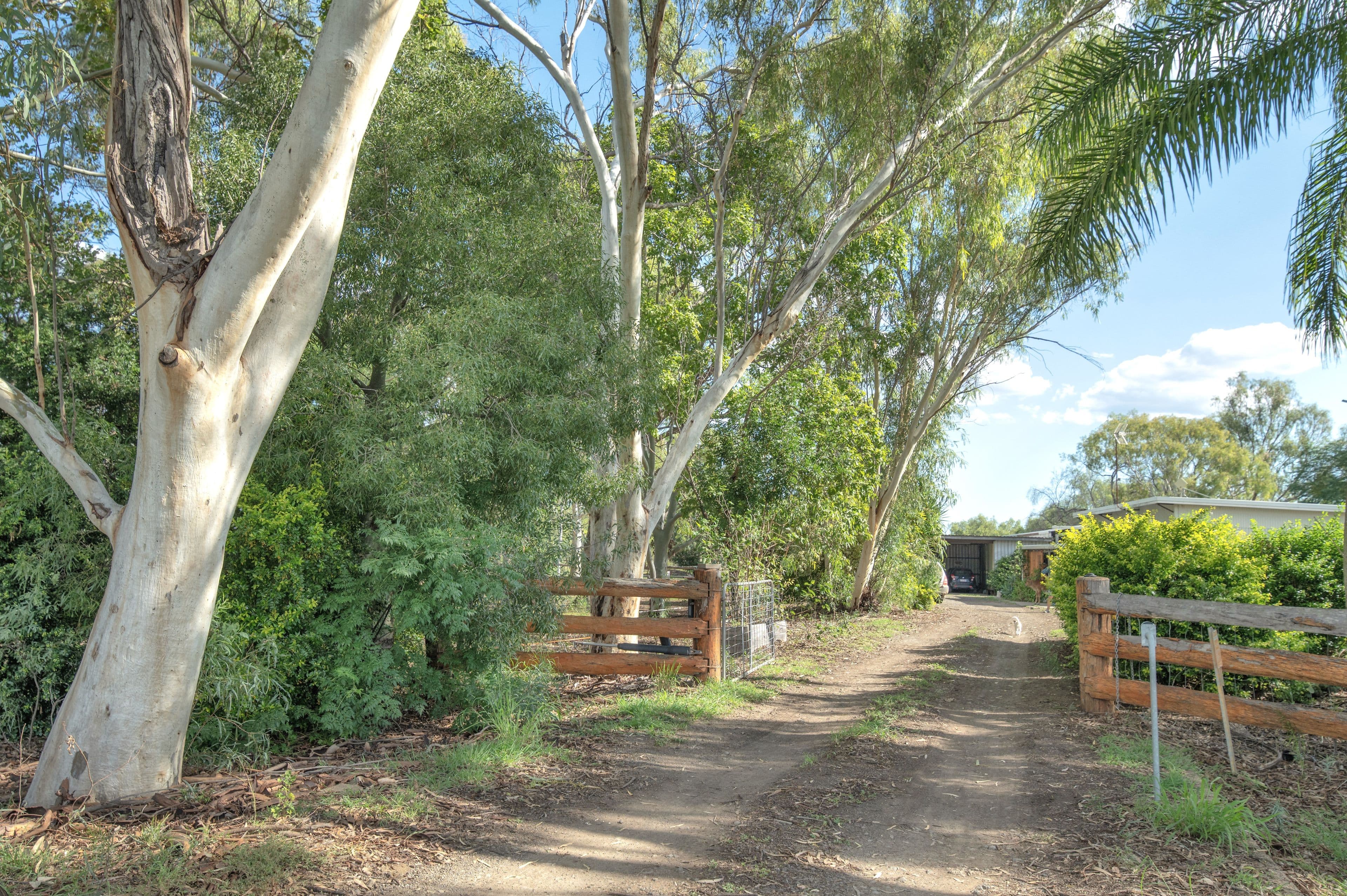 1126 Meissners Road, Thangool QLD 4716, Thangool - Image 1