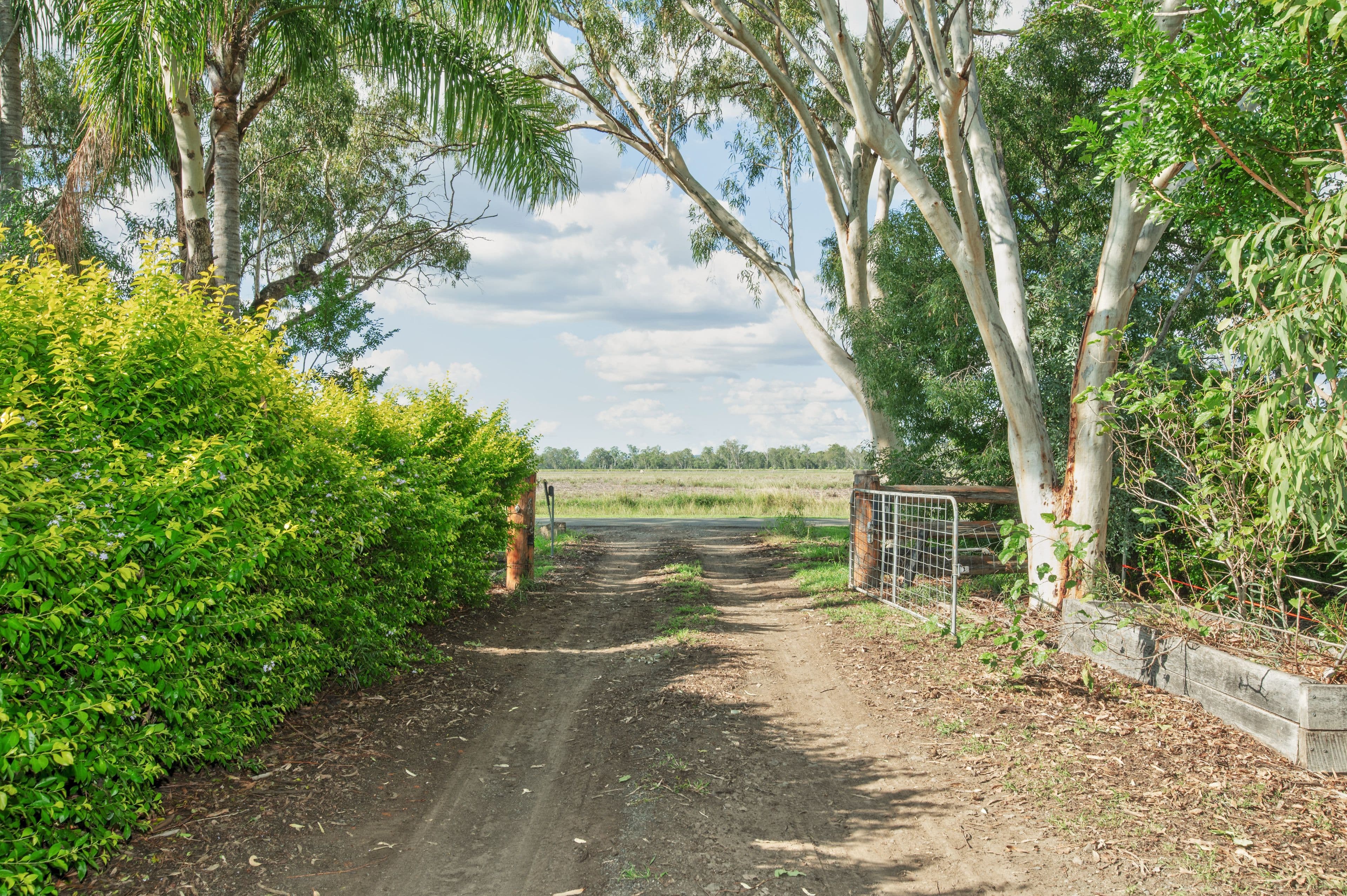 1126 Meissners Road, Thangool QLD 4716, Thangool - Thumbnail 2