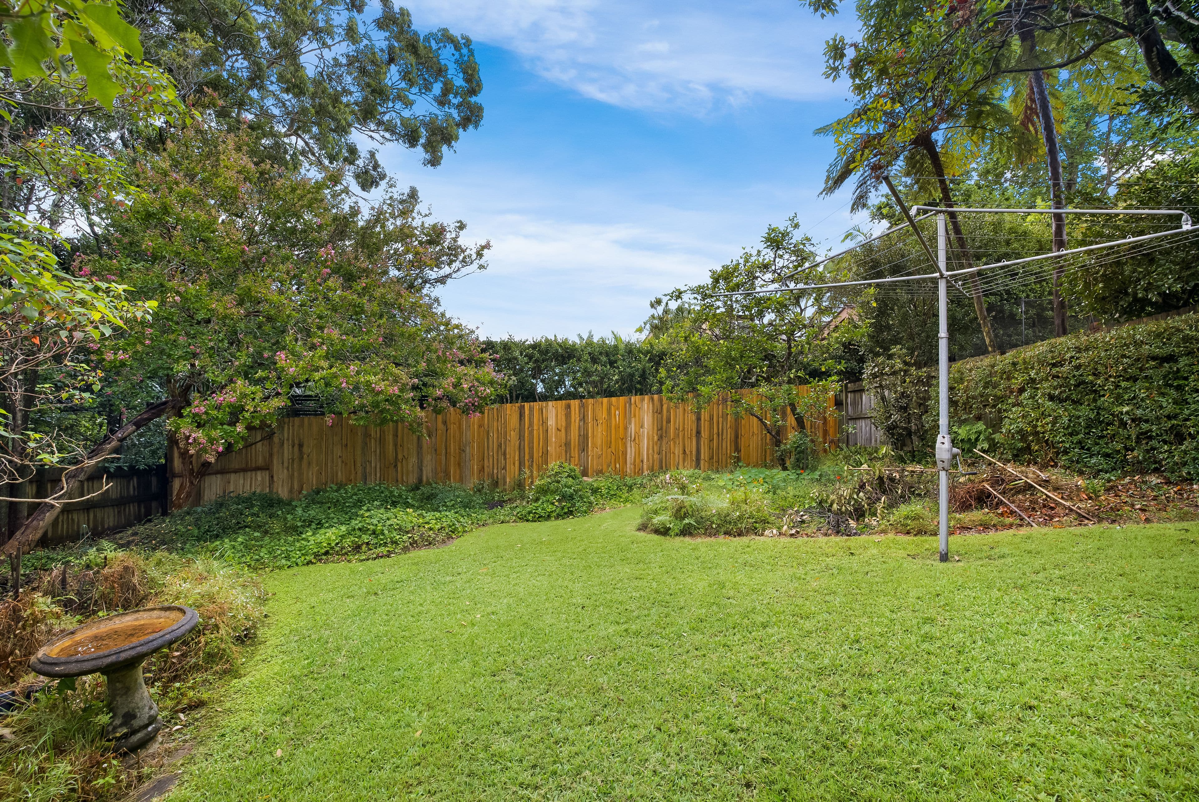 25 Carlos Road, Artarmon NSW 2064, Artarmon - Thumbnail 4