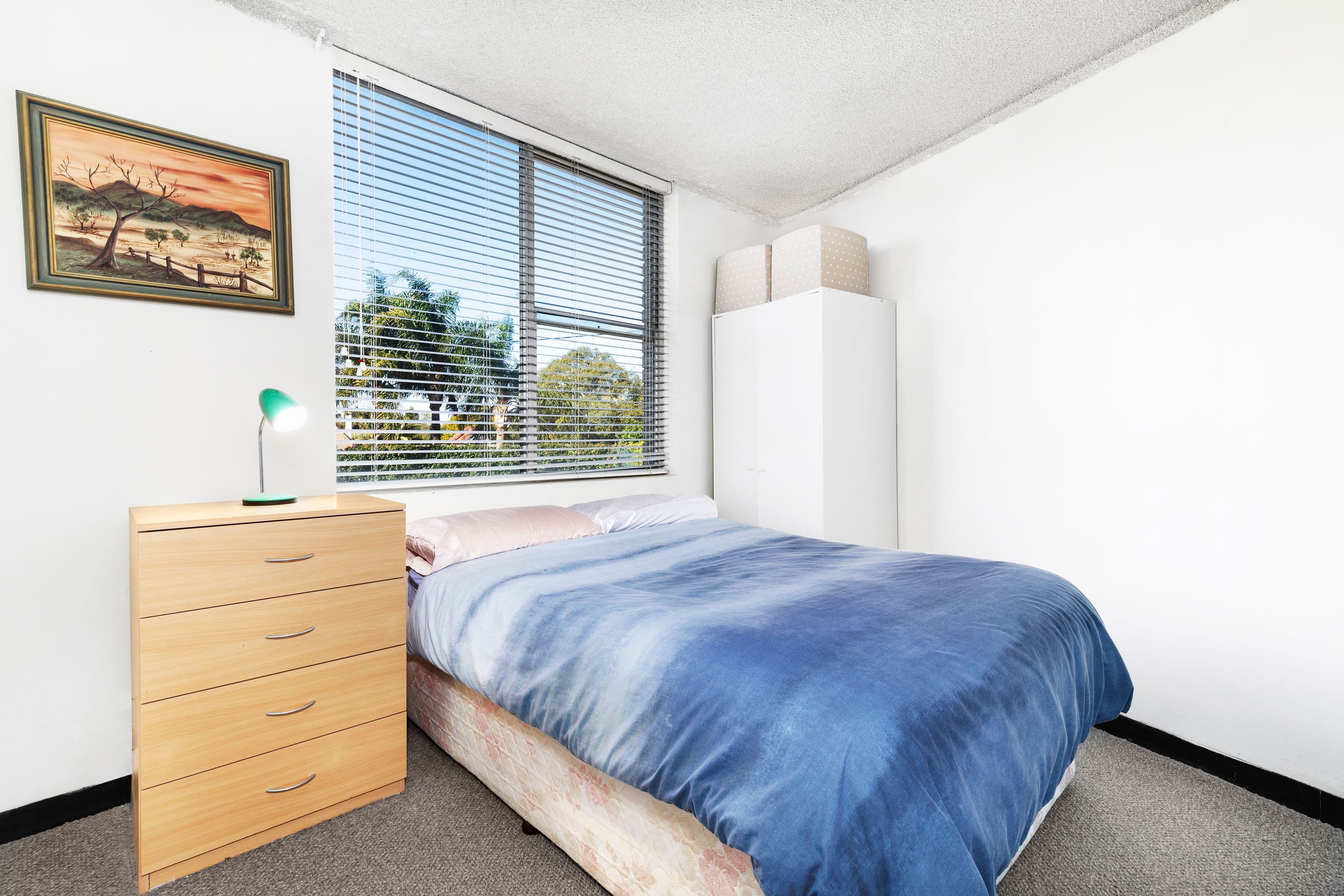 105 Cook Road, Centennial Park NSW 2021, Centennial Park - Thumbnail 2
