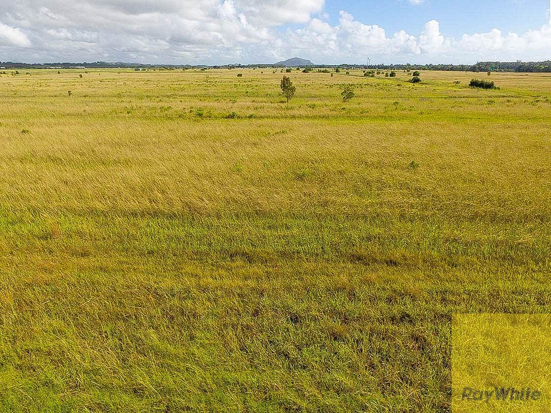 27 Godfreys Avenue, Bli Bli QLD 4560, Bli Bli - Thumbnail 4