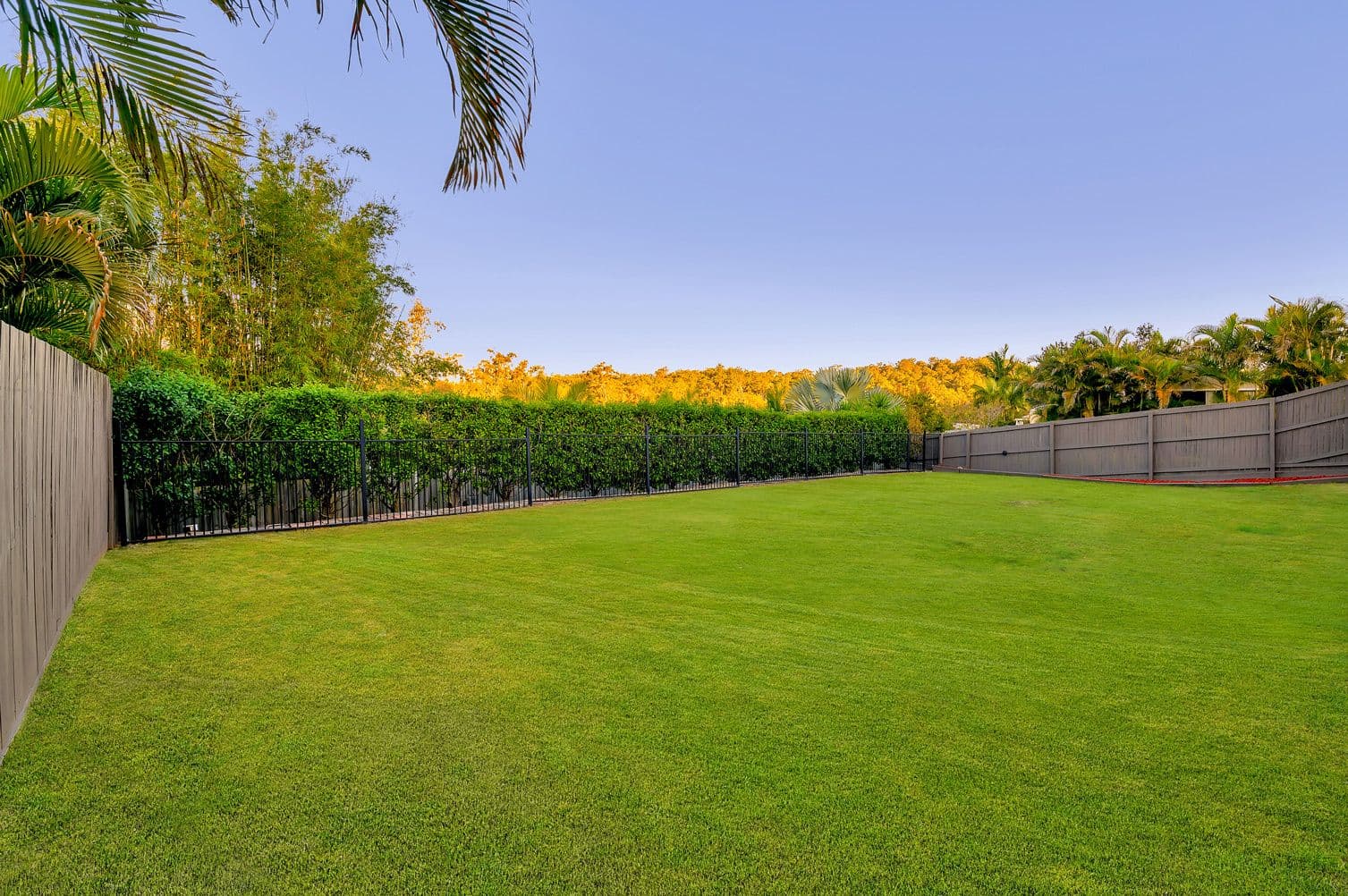 7 Pitt Street, Upper Coomera QLD 4209, Upper Coomera - Thumbnail 4