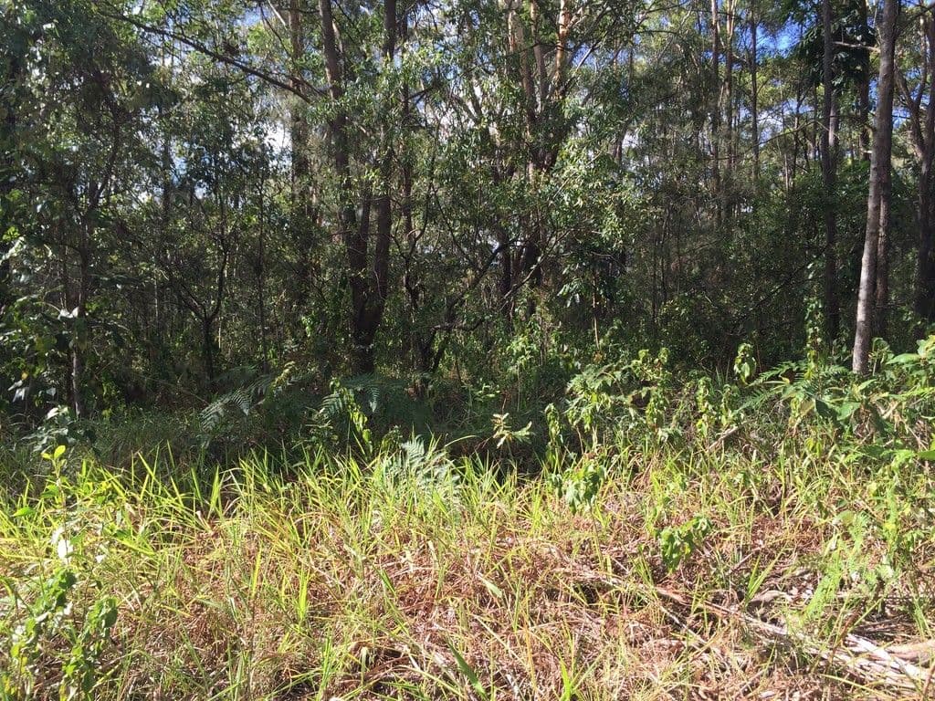 9-11-13 Sunhaven Road, Russell Island QLD 4184, Russell Island - Thumbnail 8